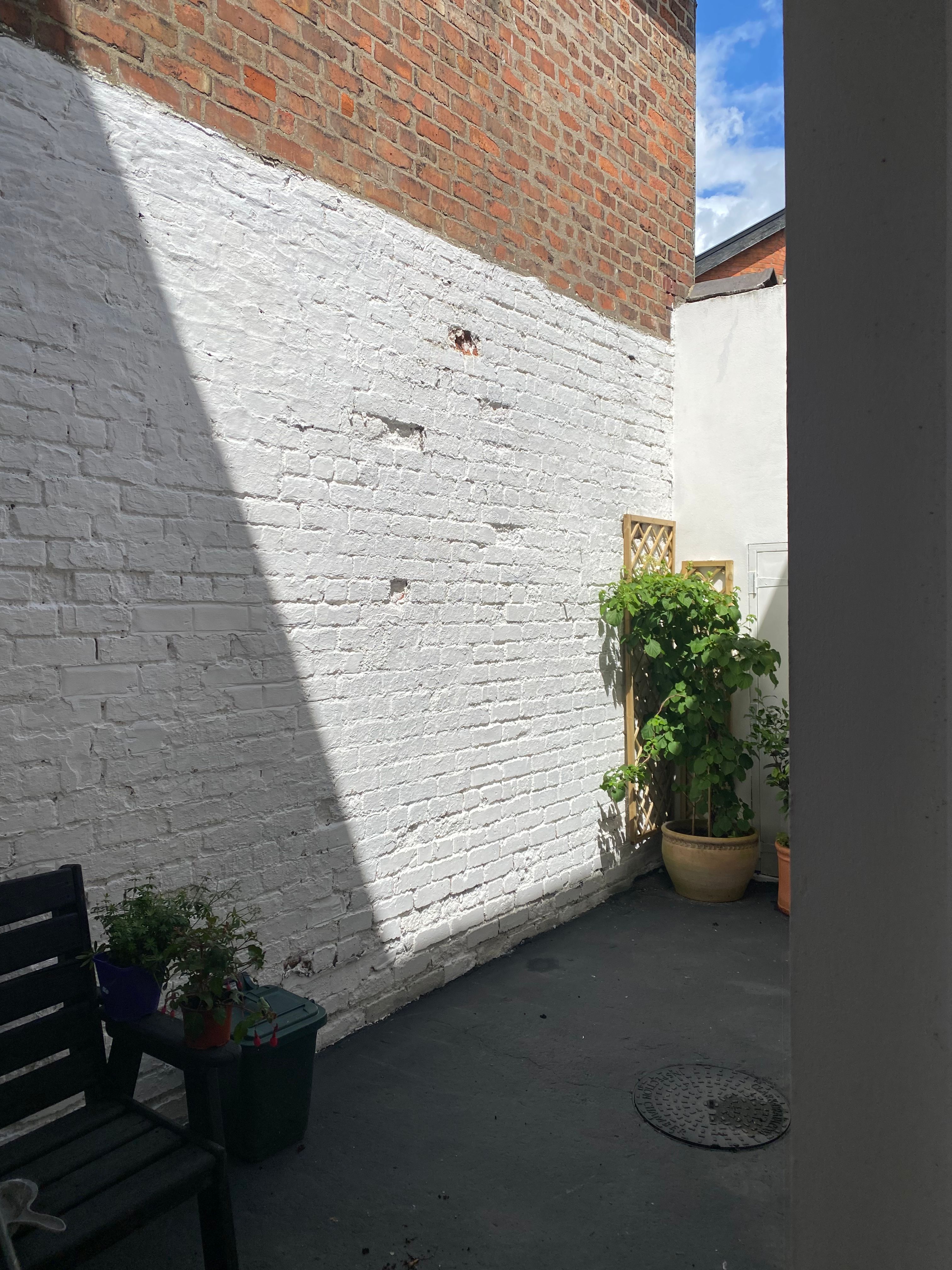 image-14