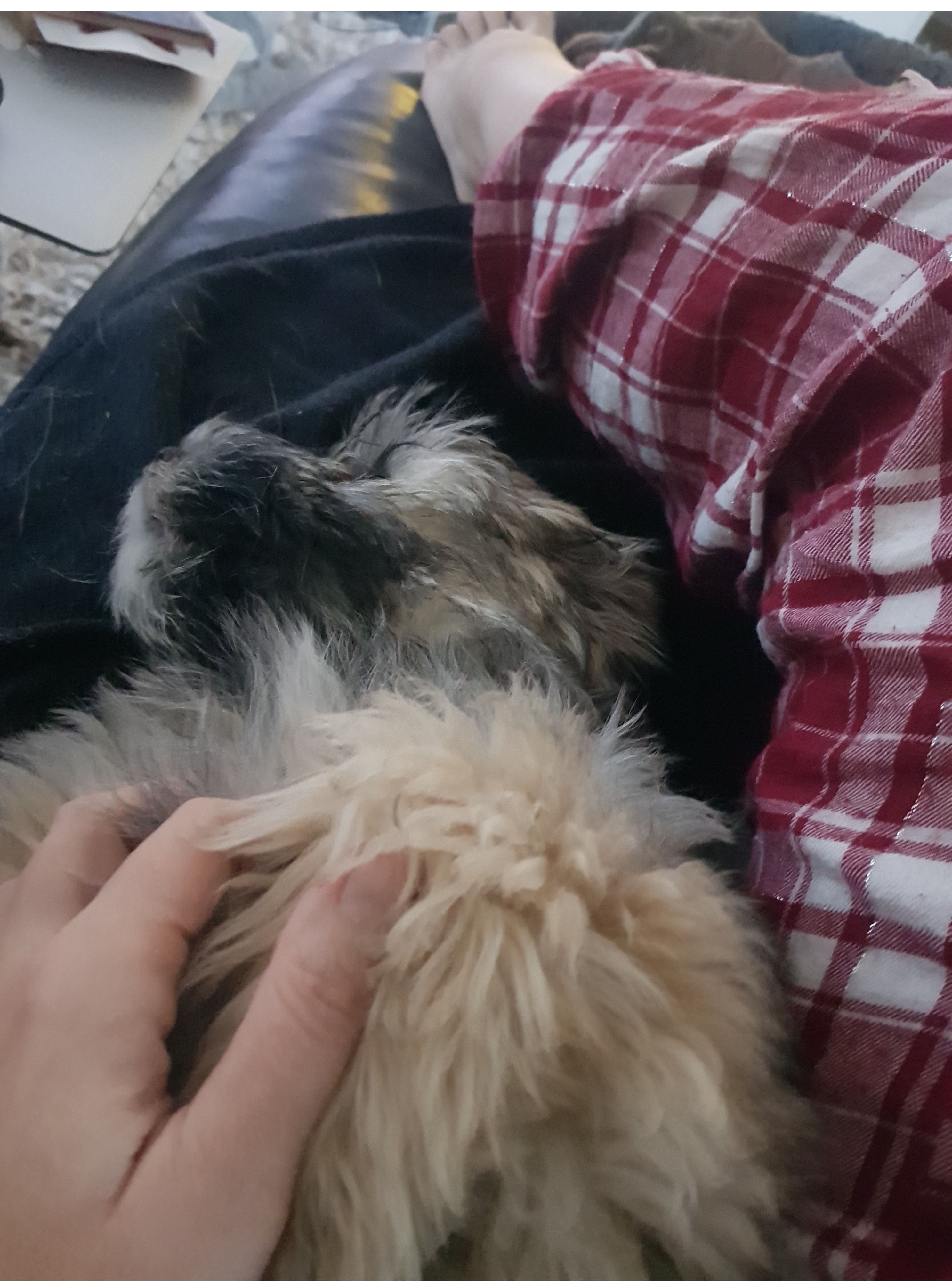 image-9