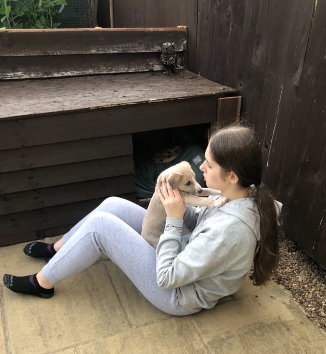 image-1