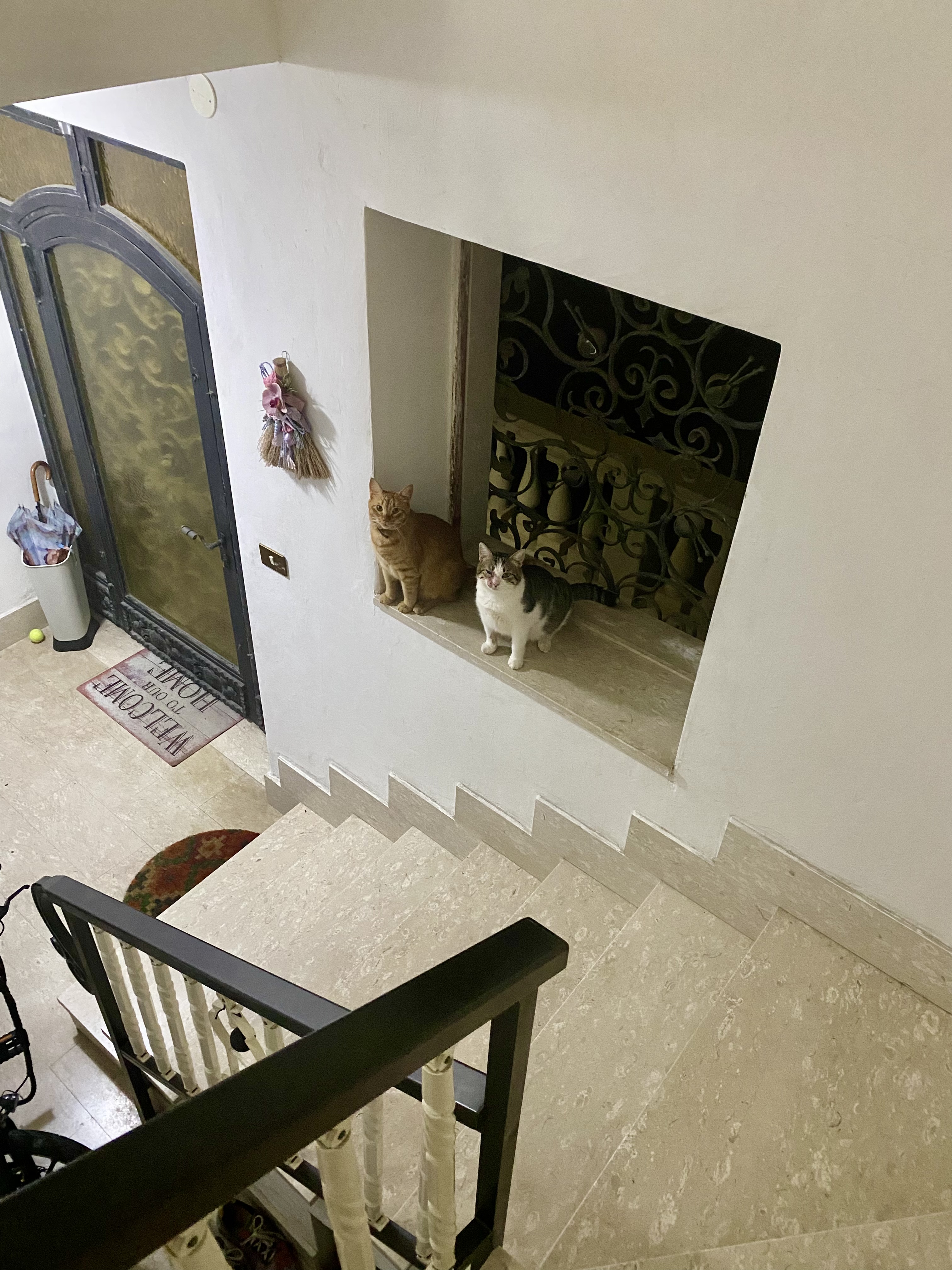 image-18