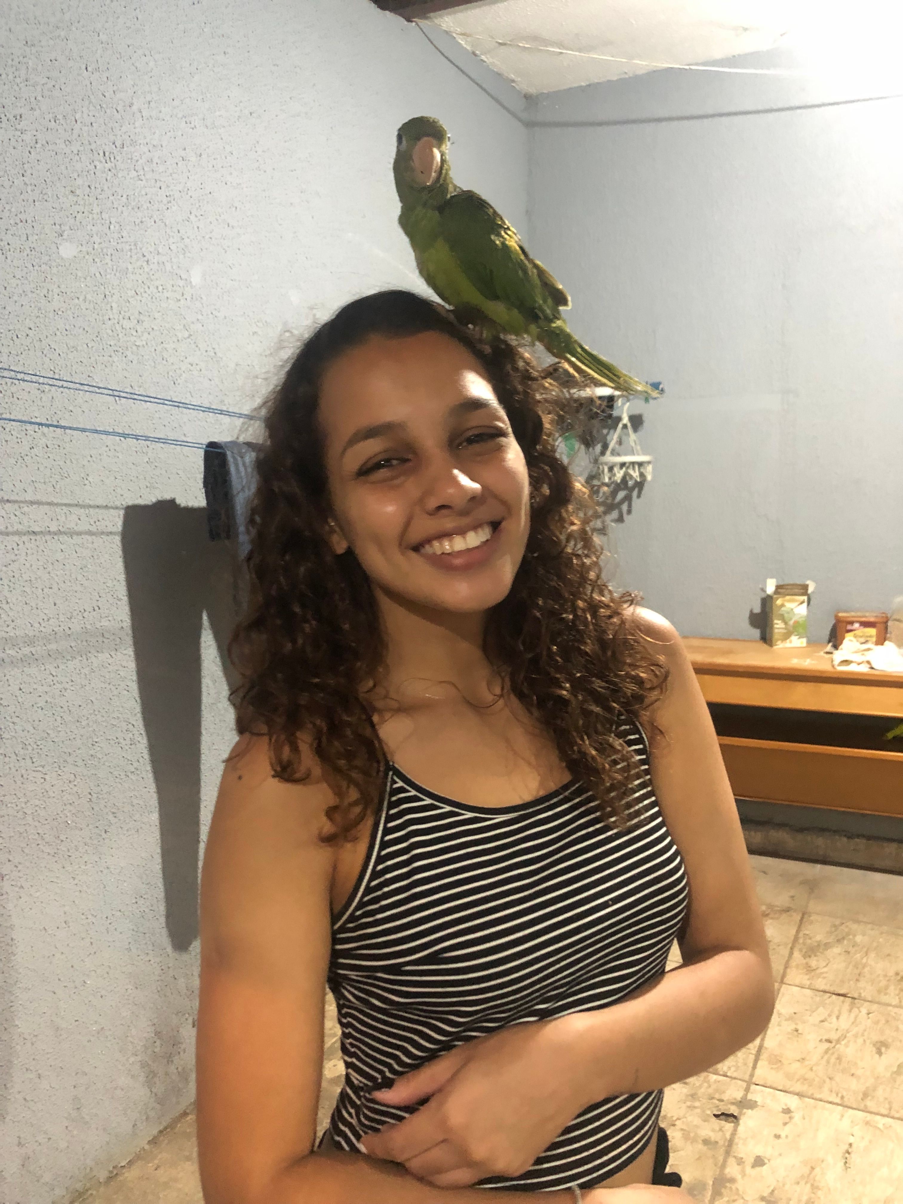 image-6