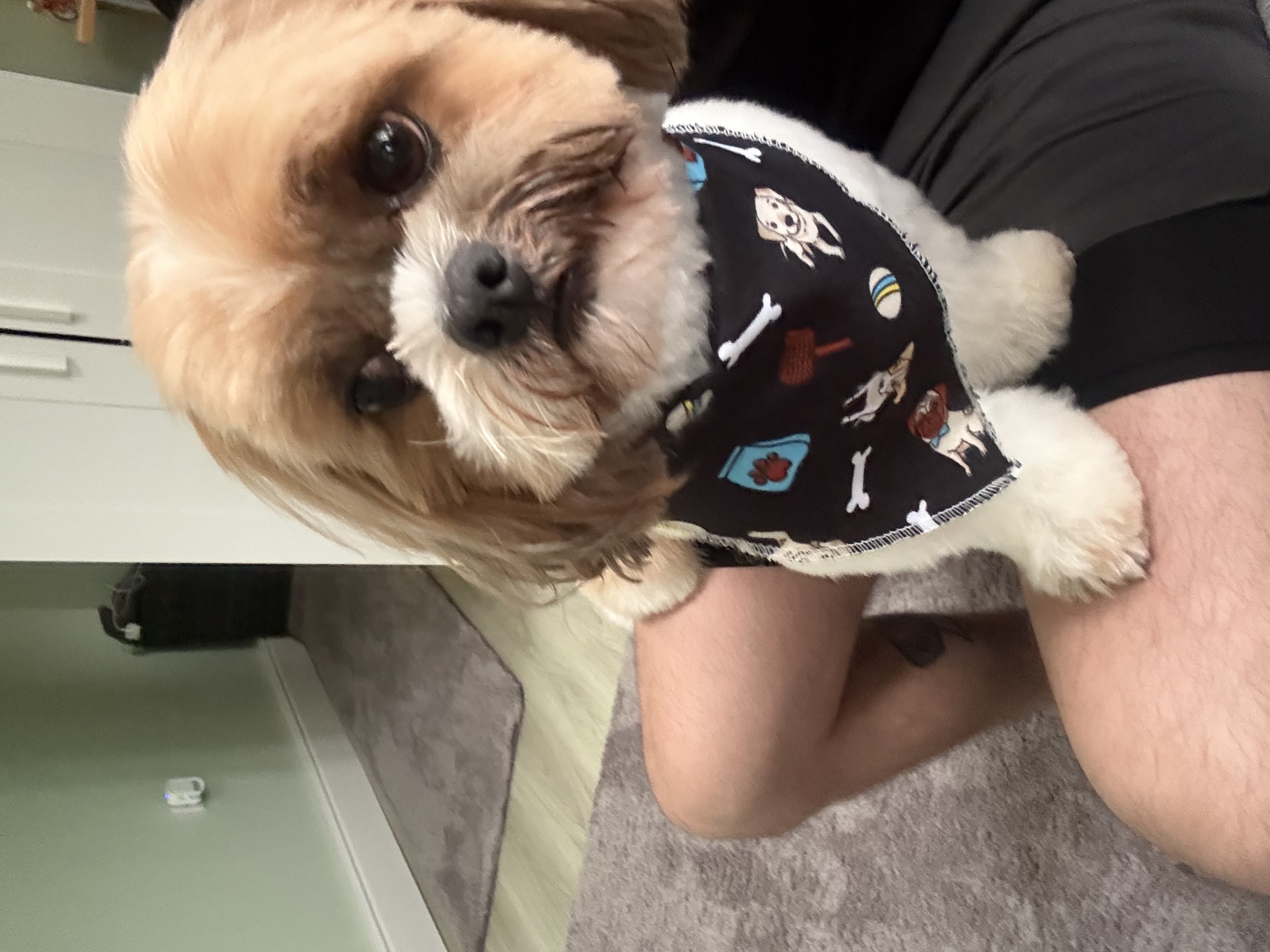image-9