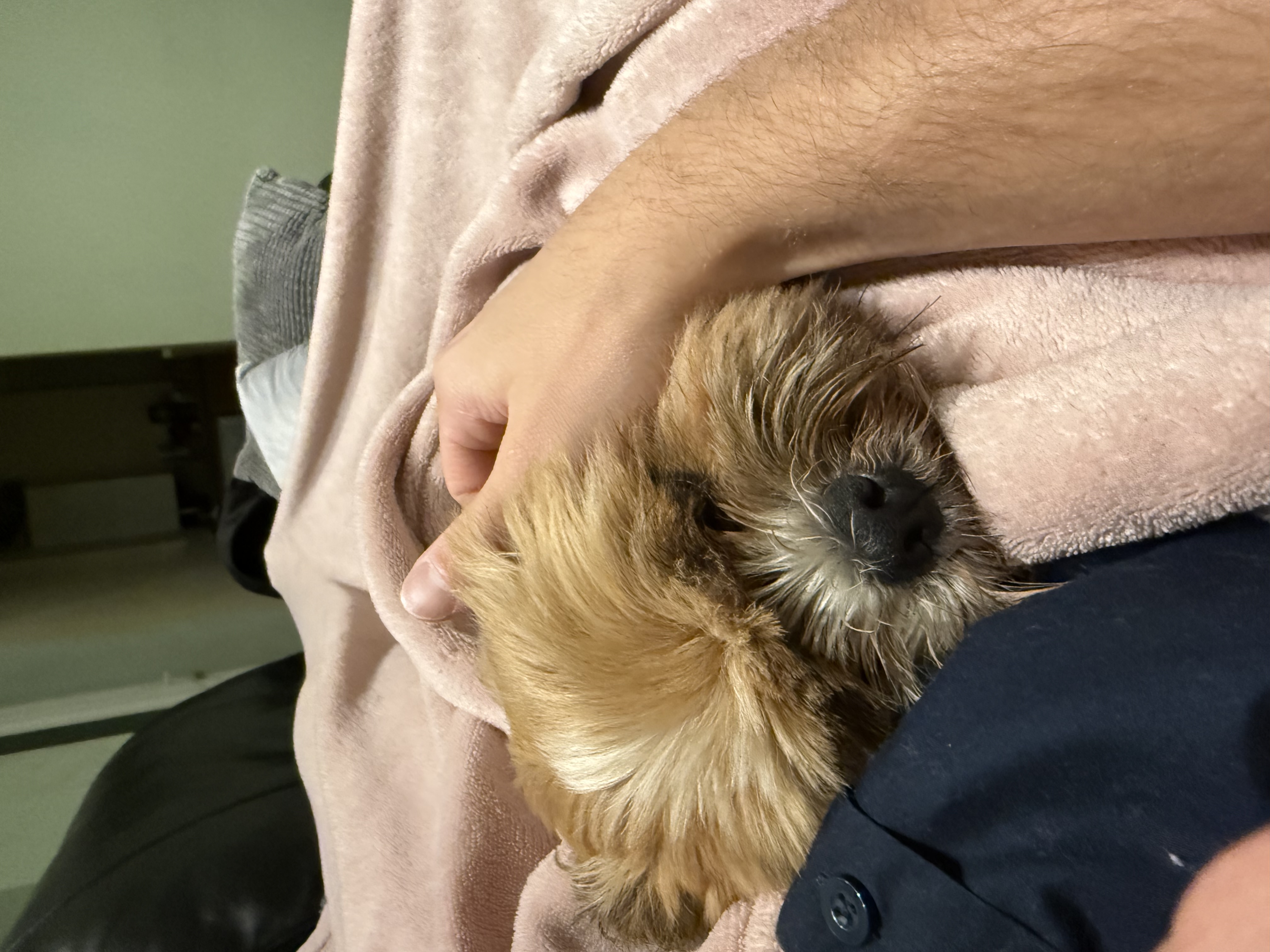 image-7