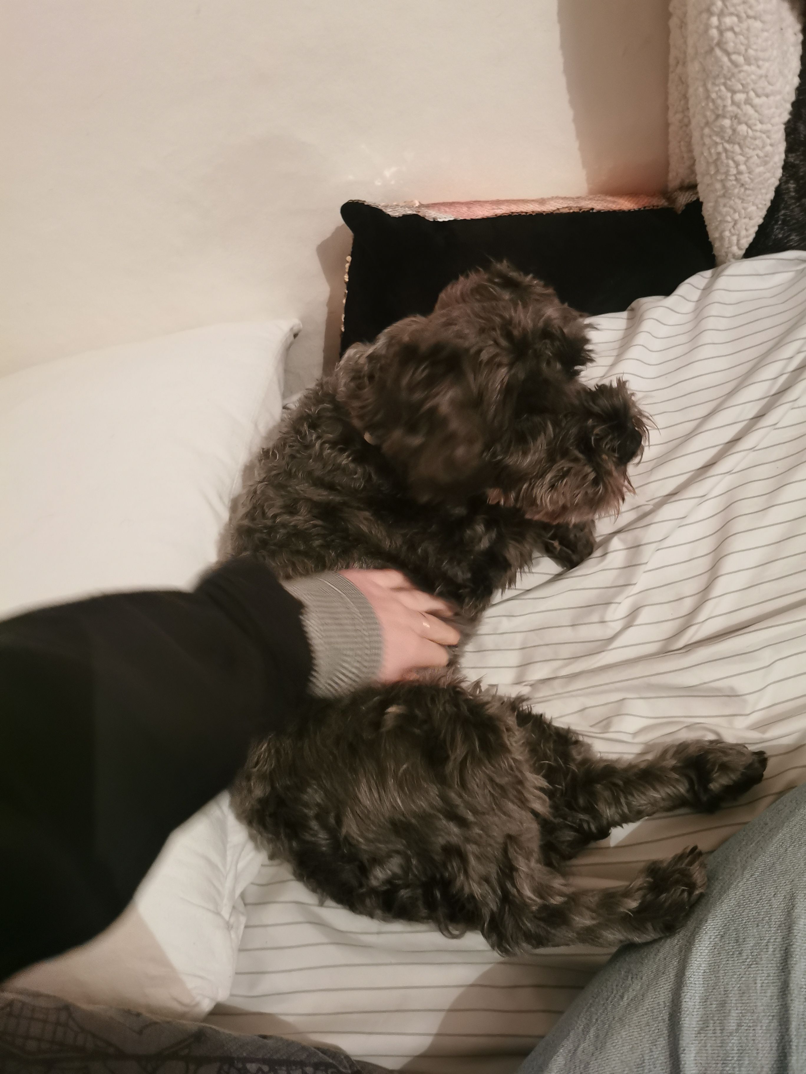 image-7