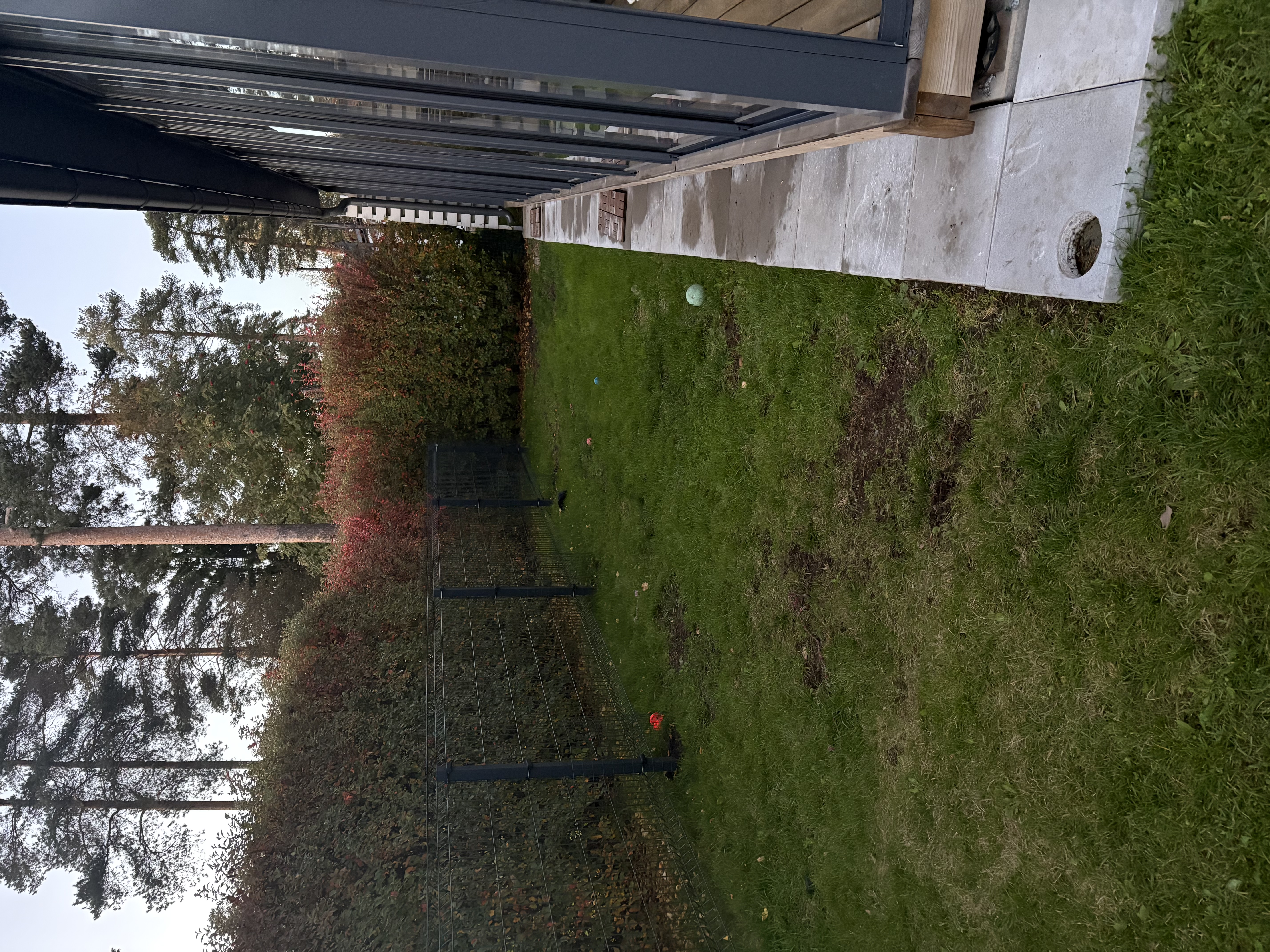 image-23