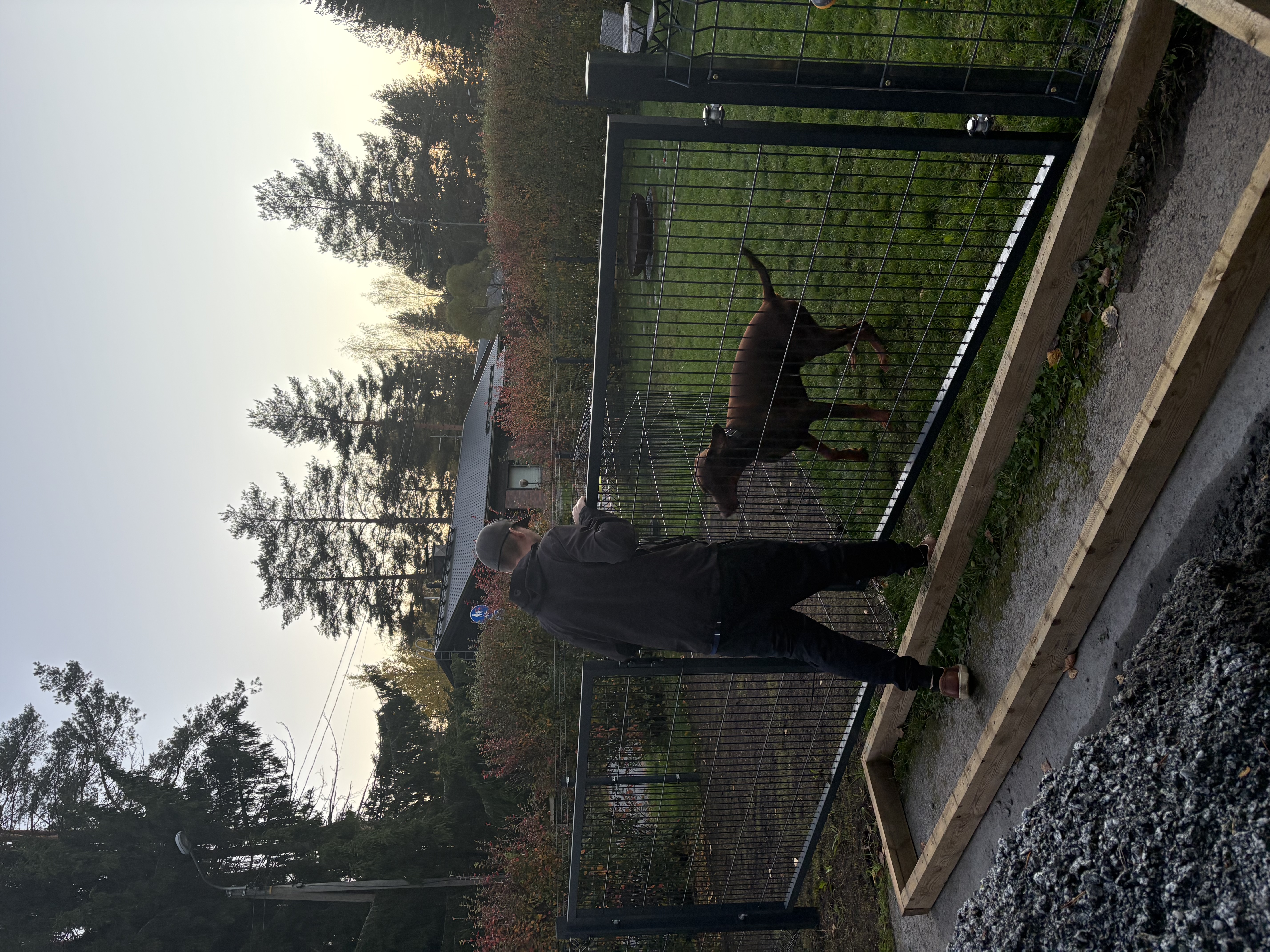 image-20