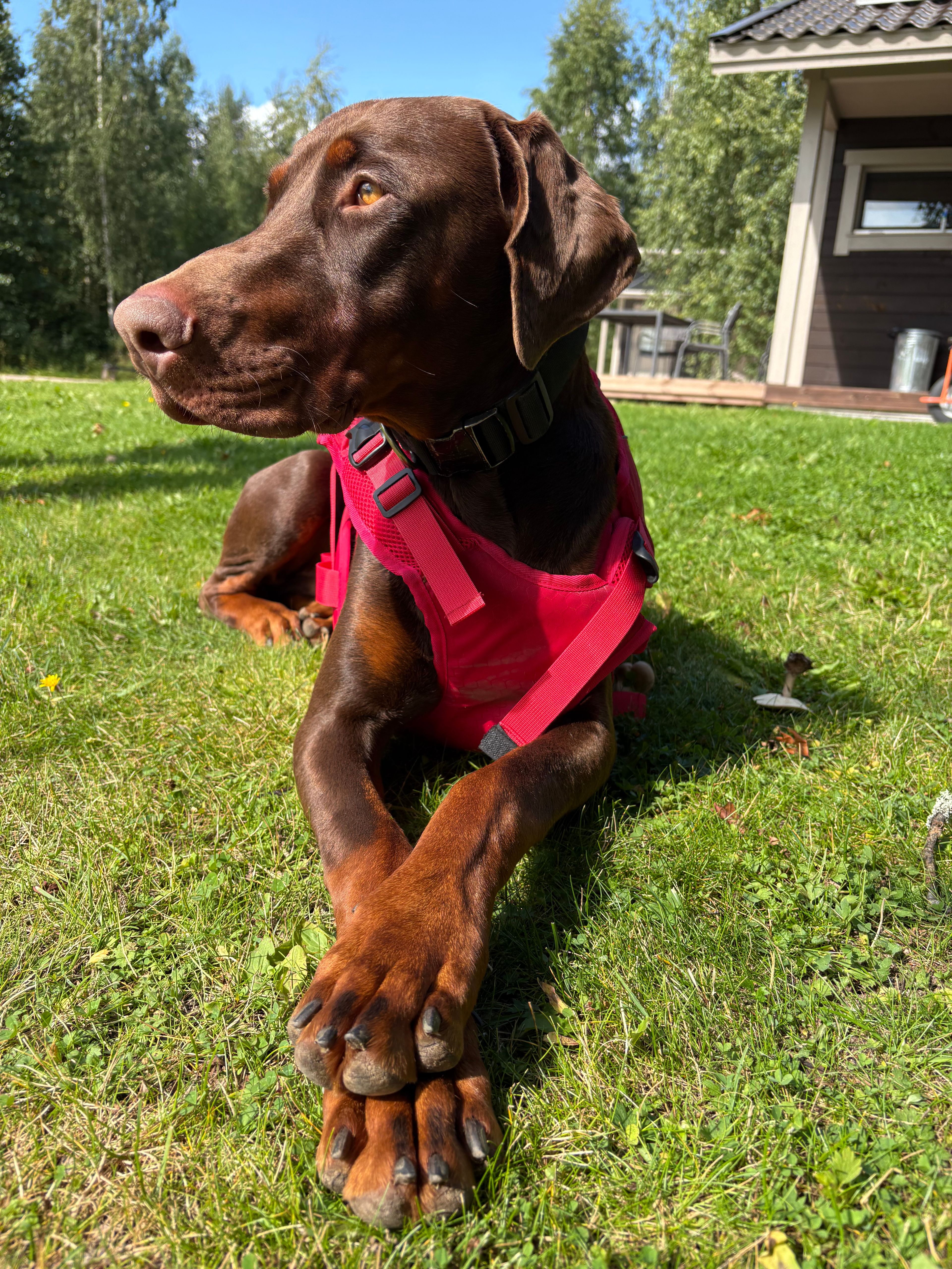 image-14