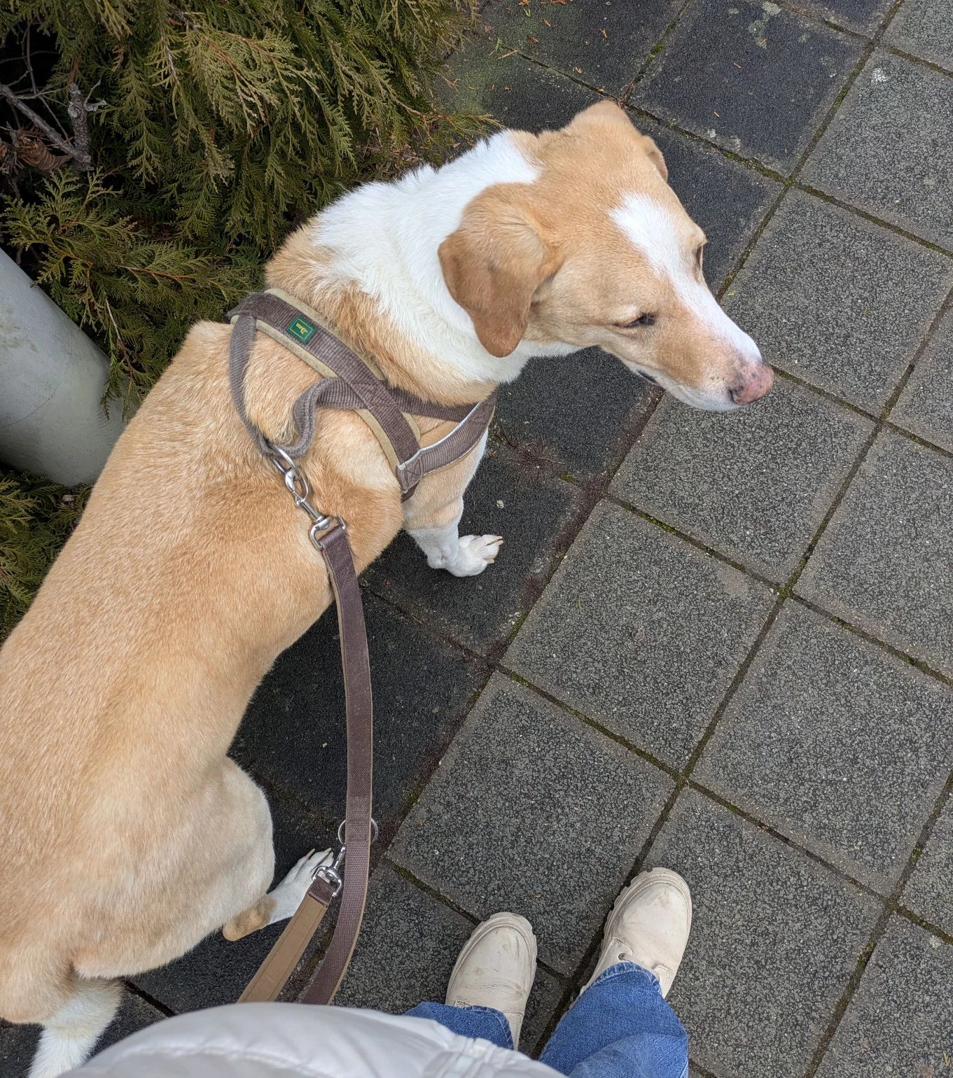 image-6