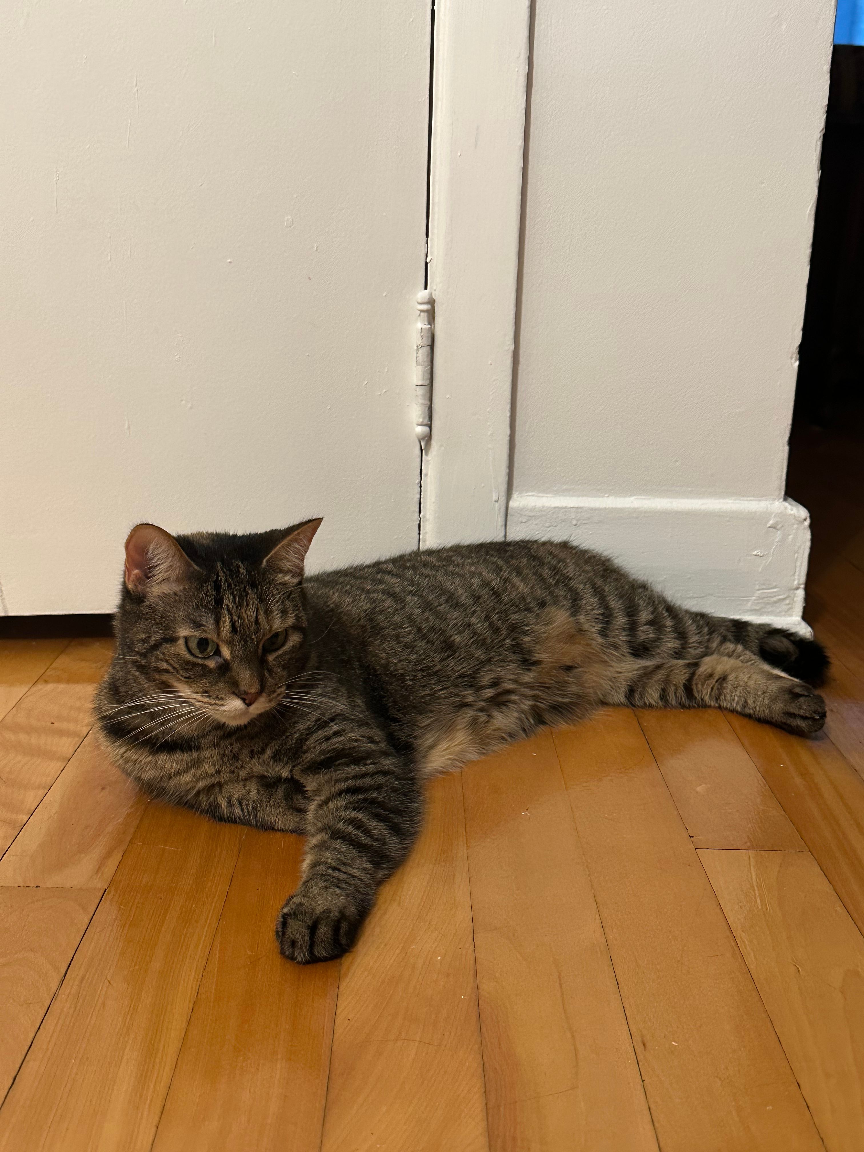 image-11
