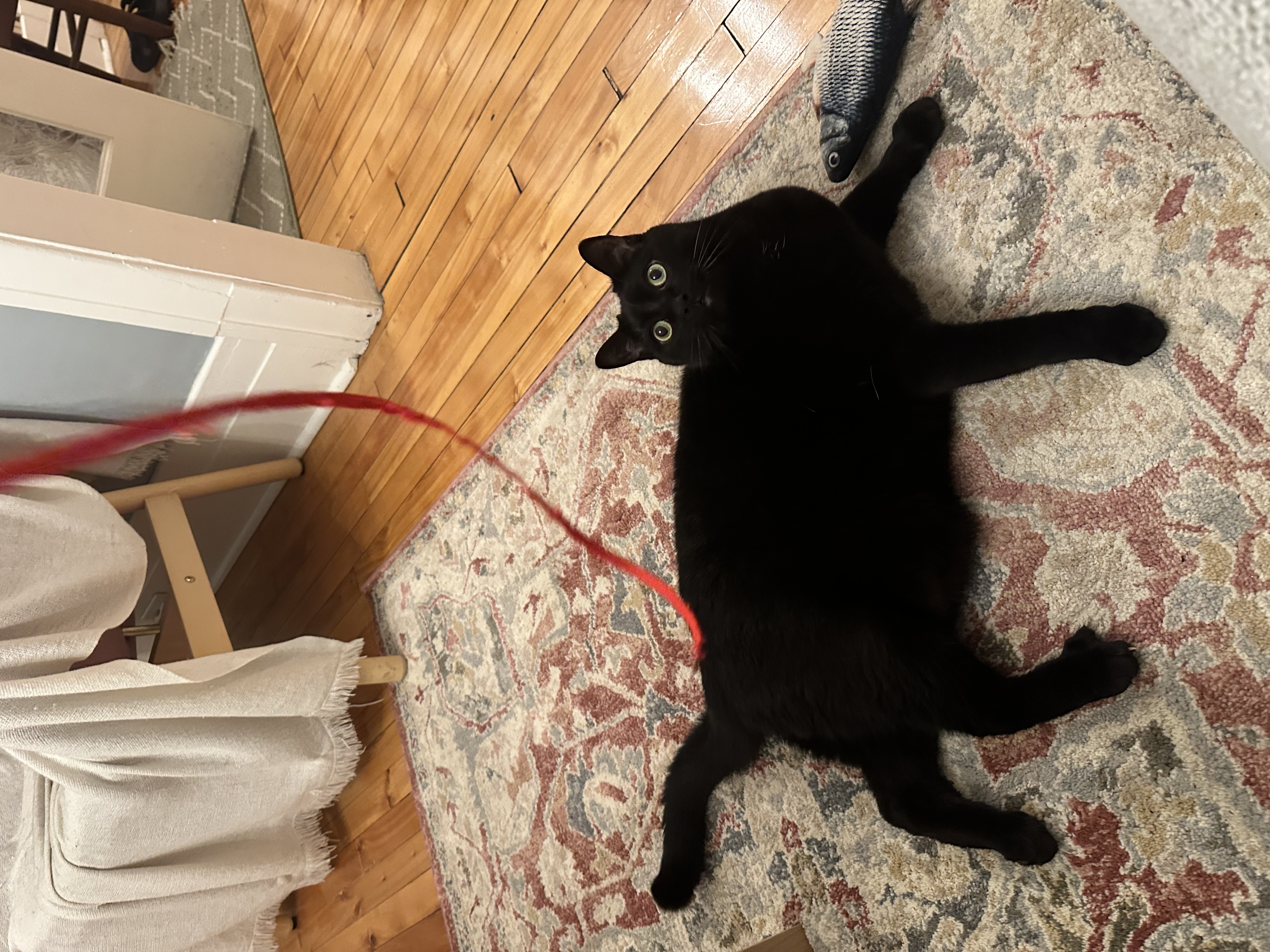 image-8