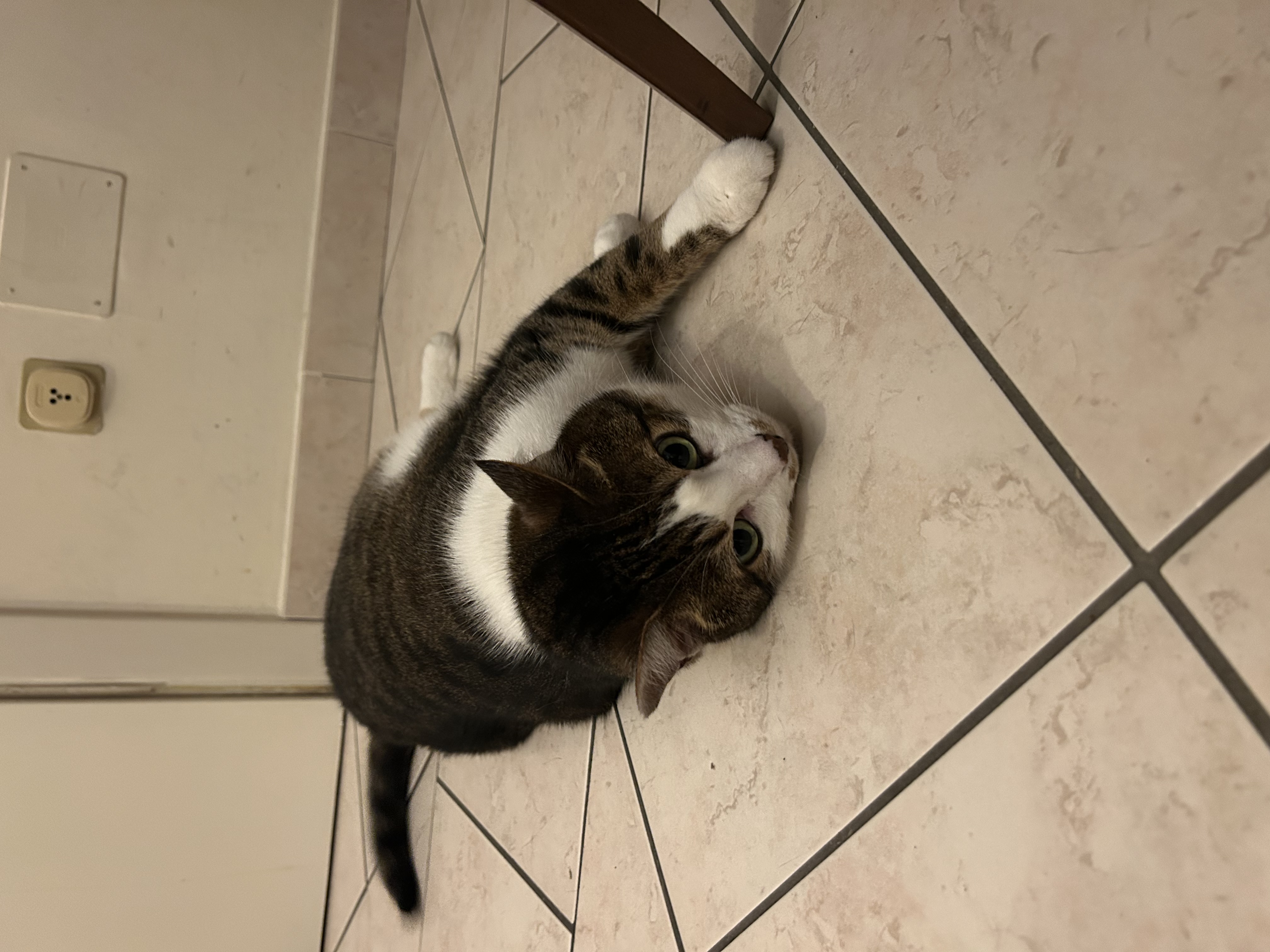 image-13