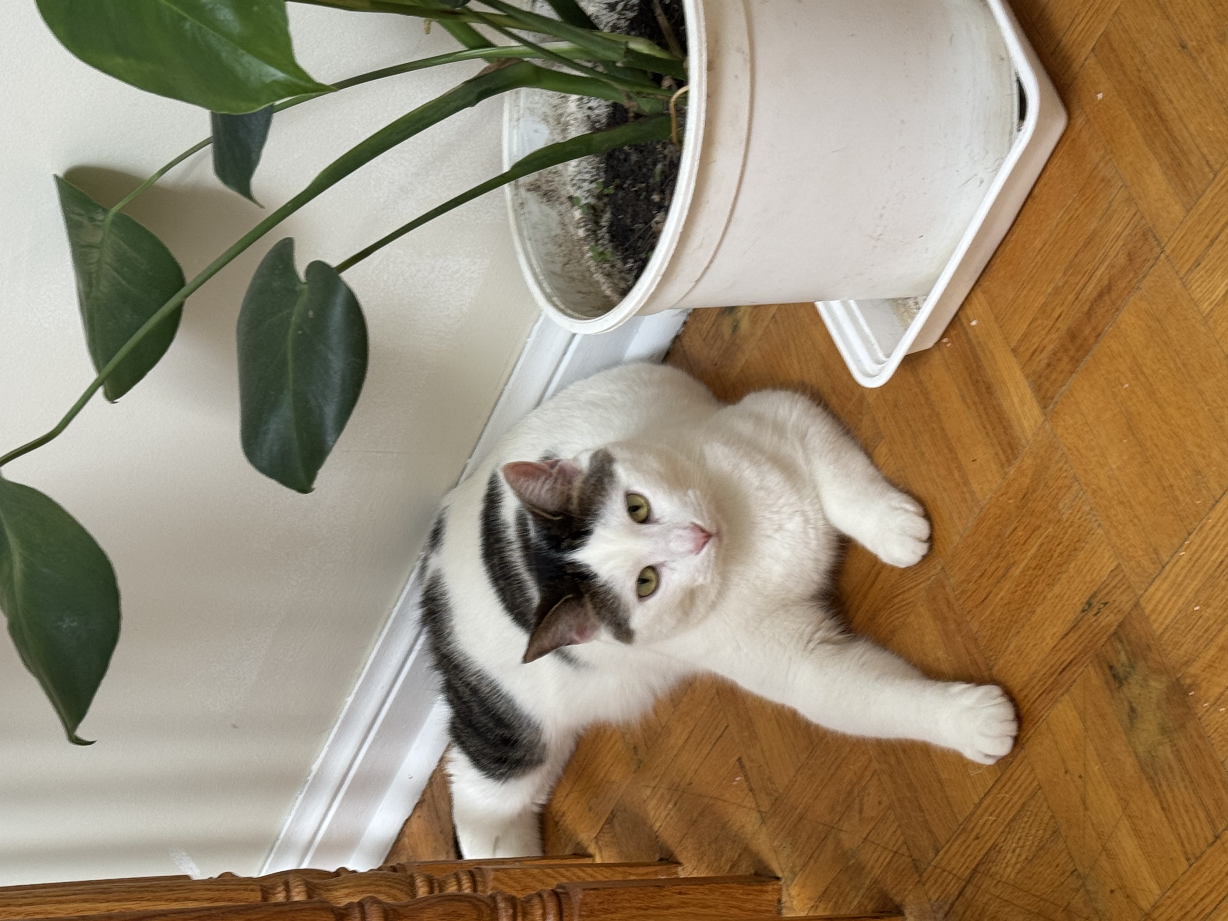 image-10