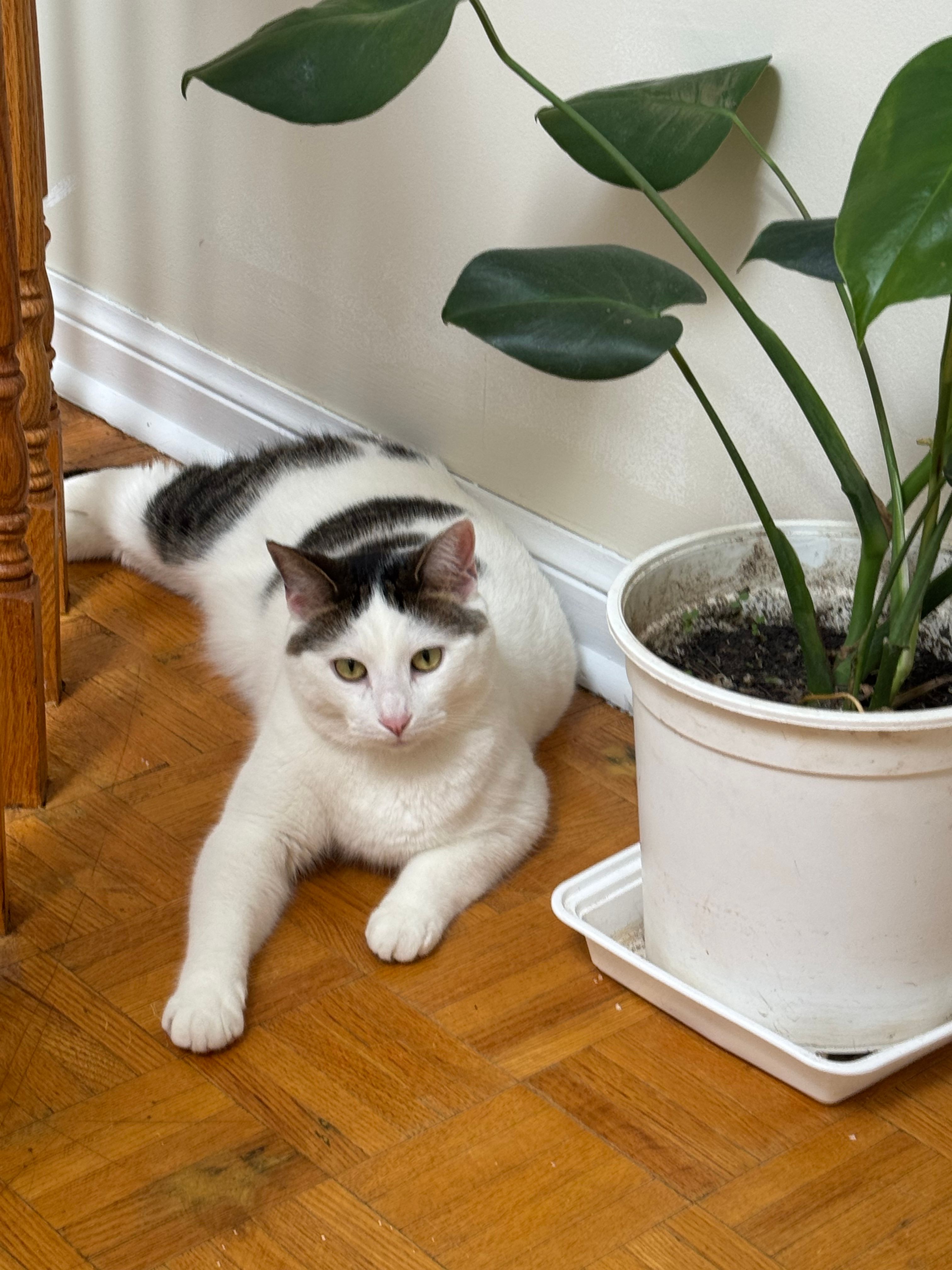 image-10