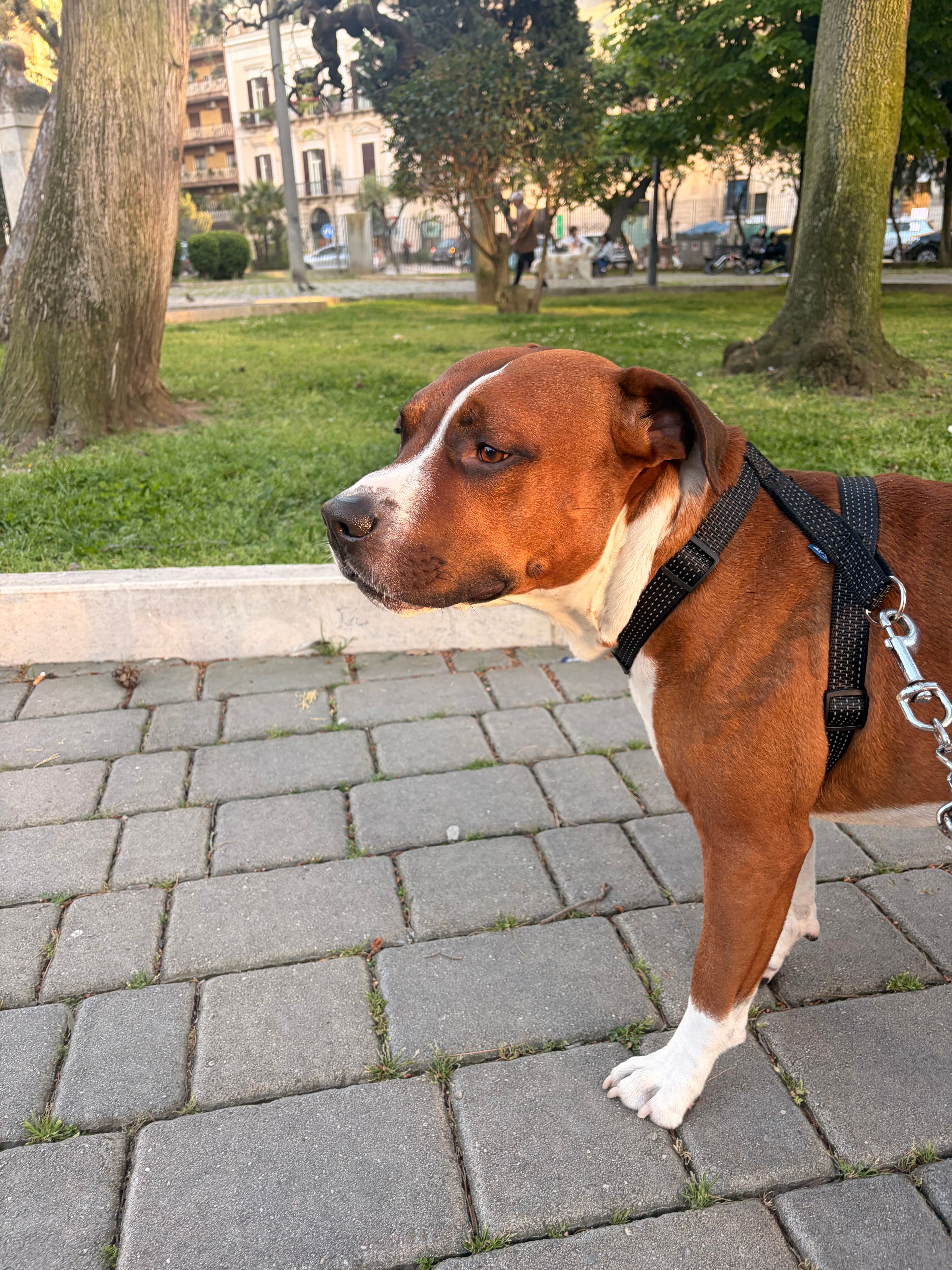 image-18