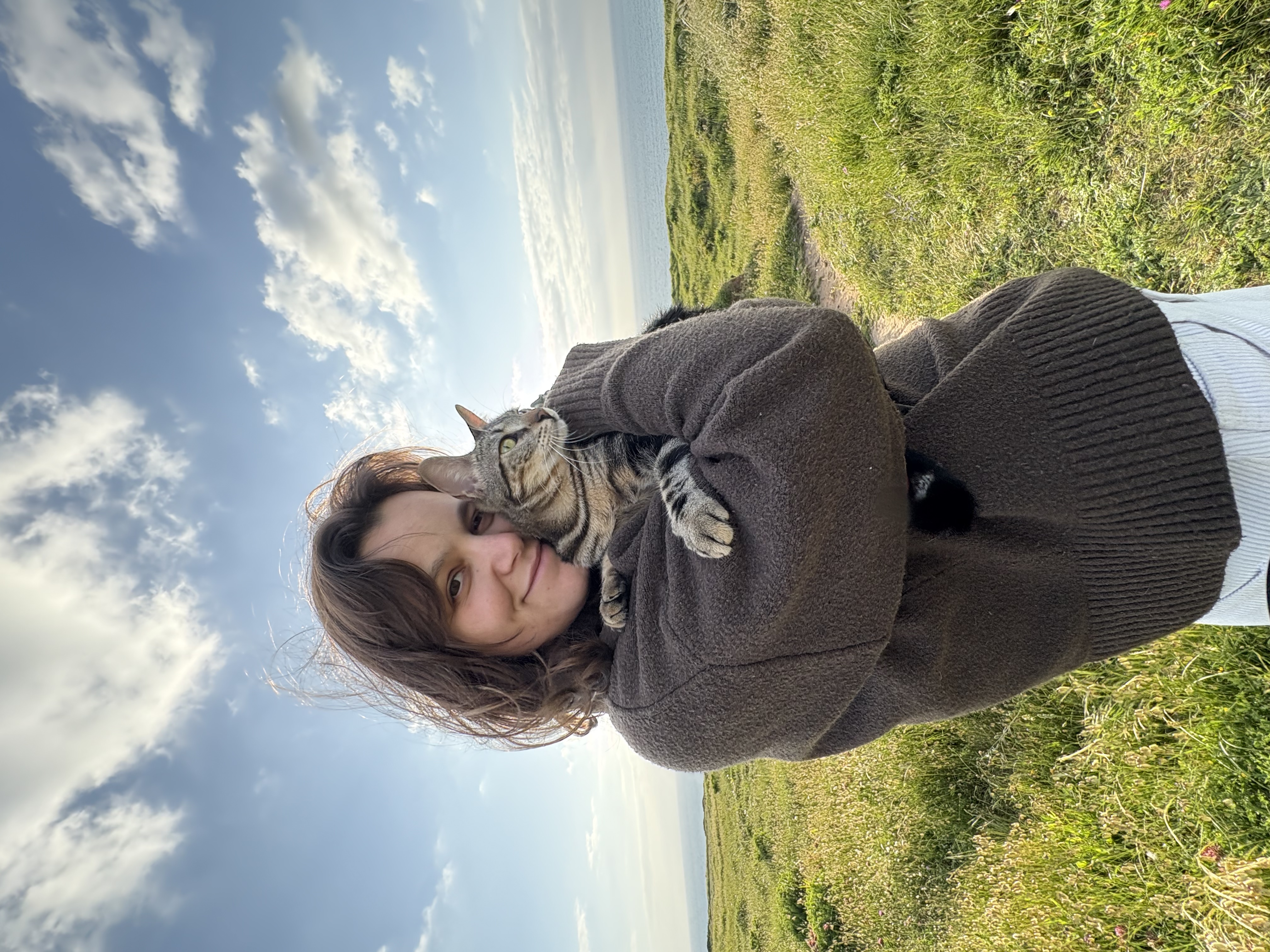 image-9