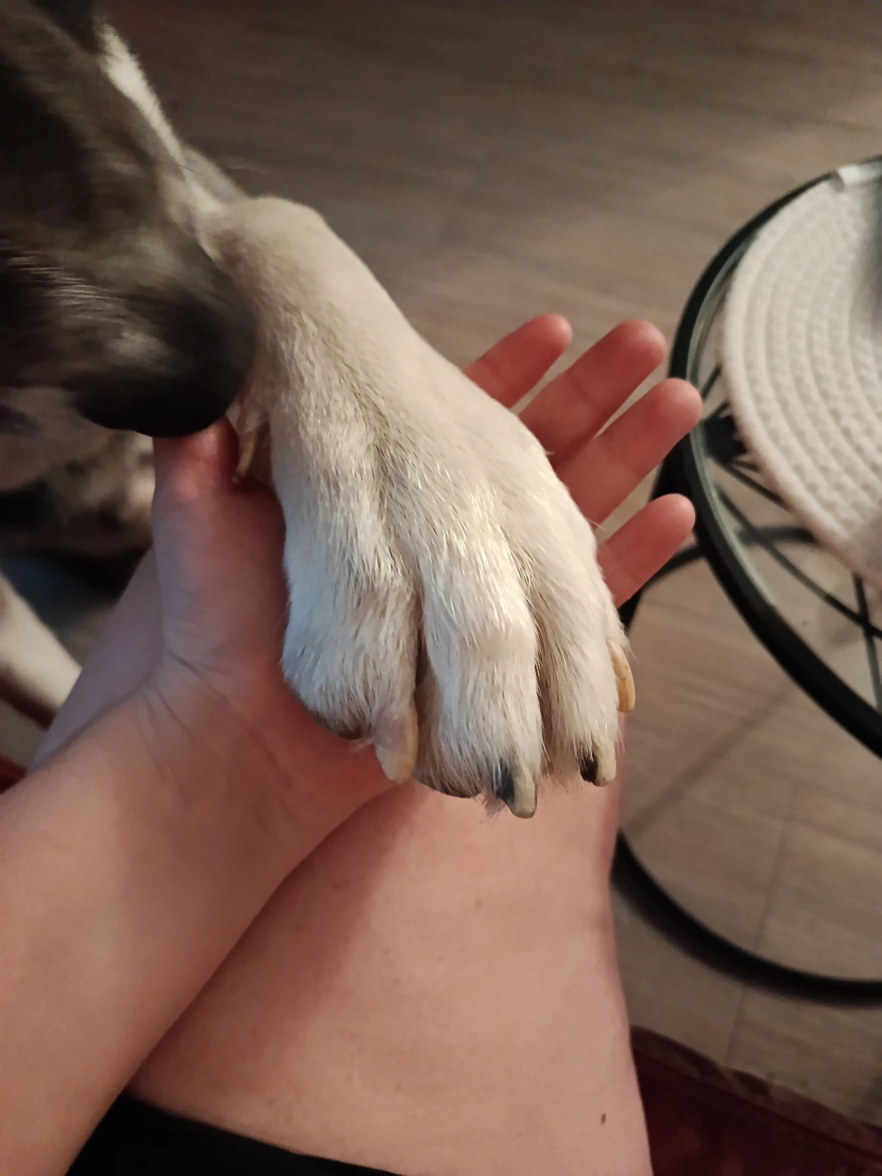 image-7