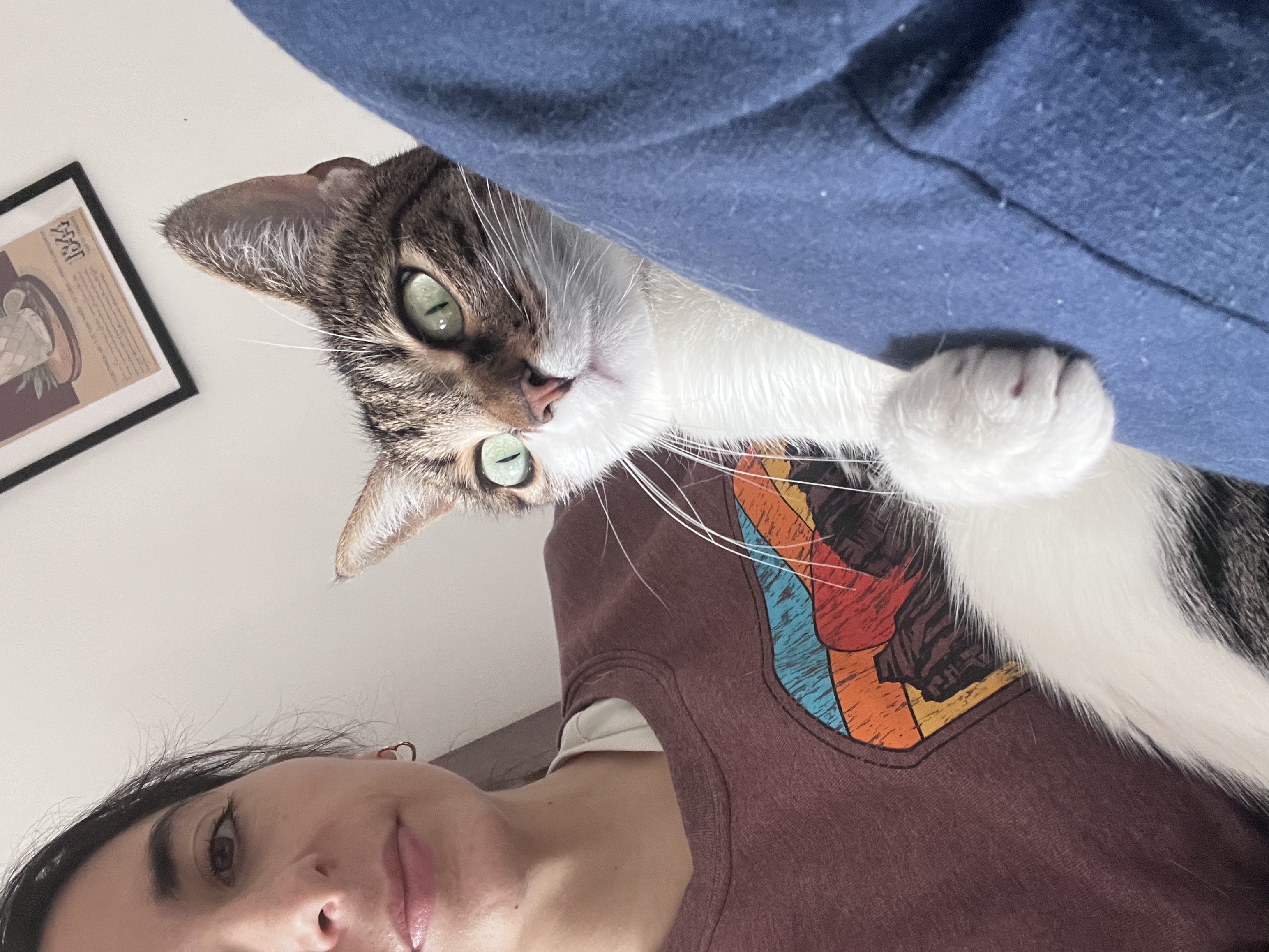 image-11