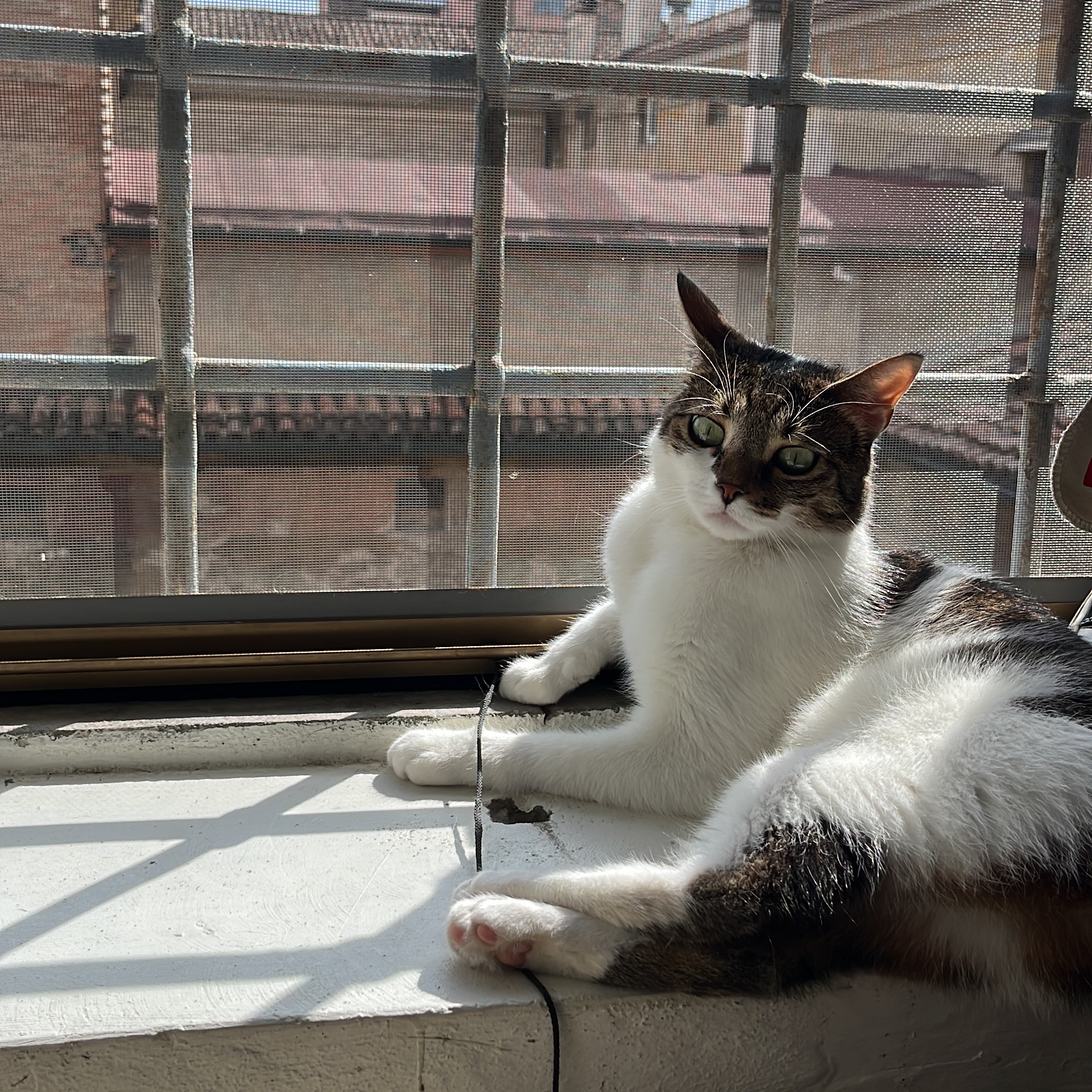 Gamora