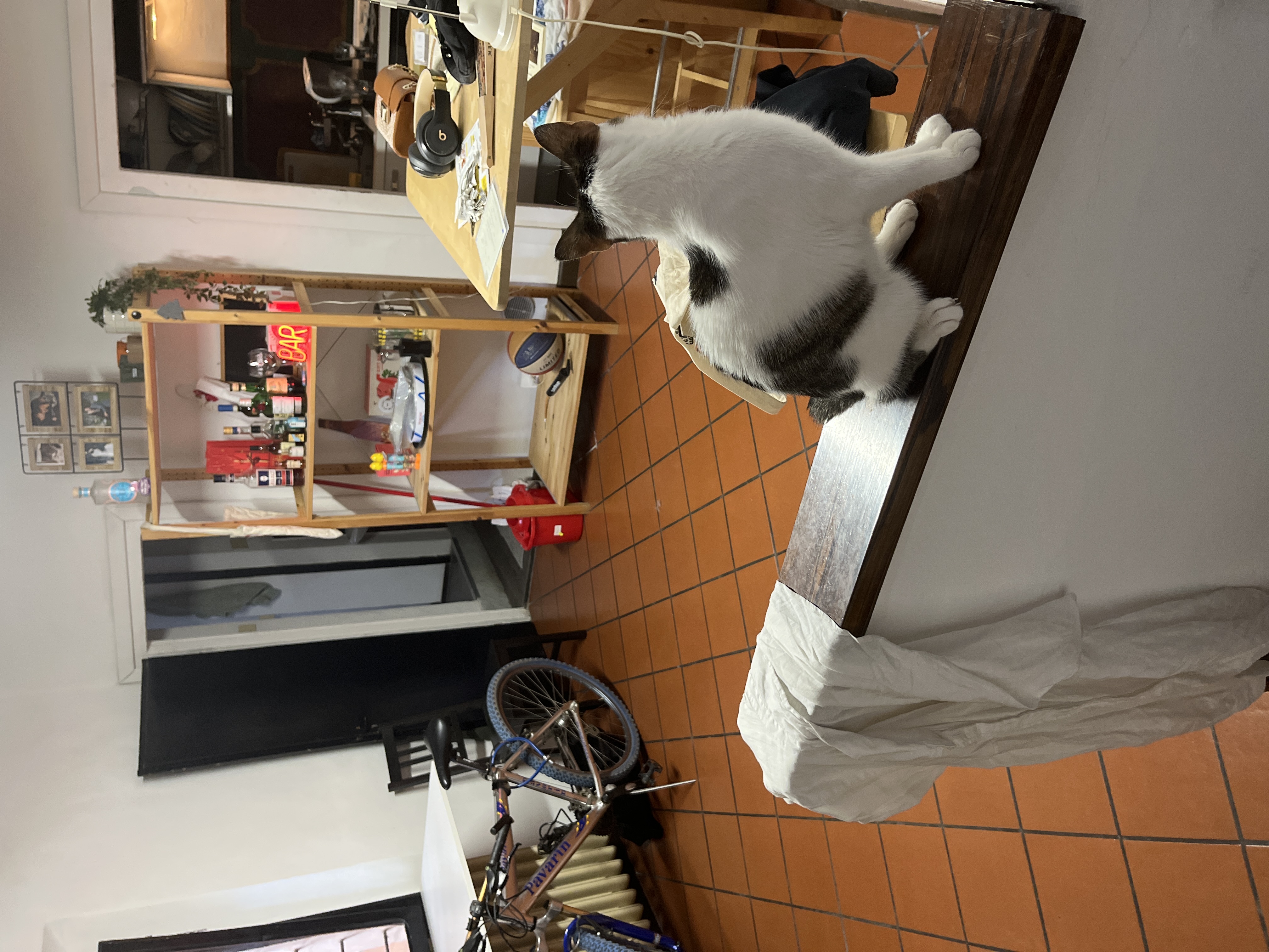 image-18