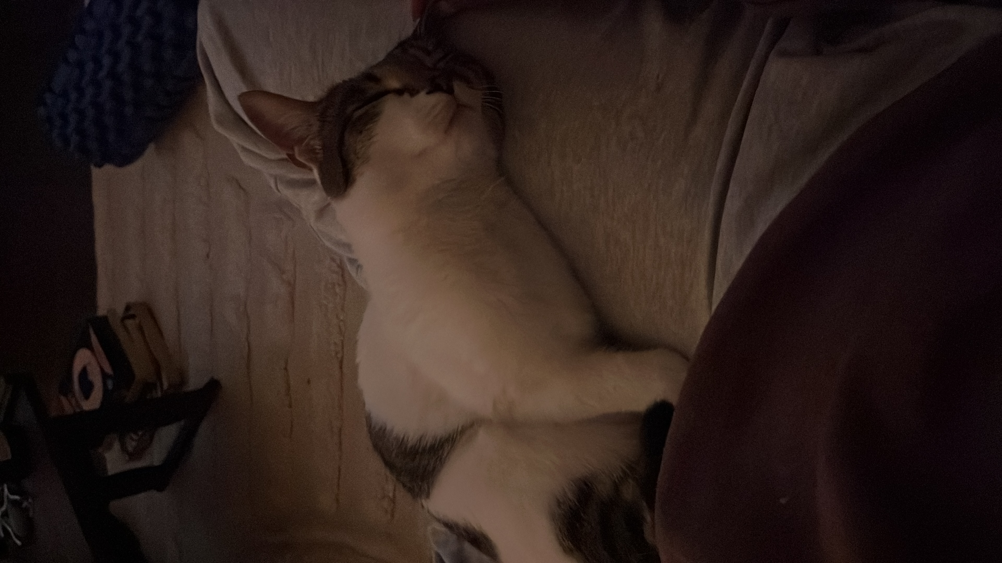 image-6