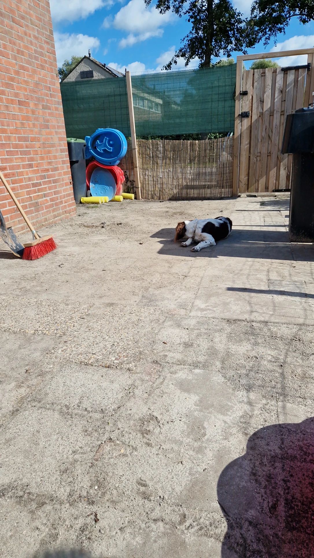 image-25