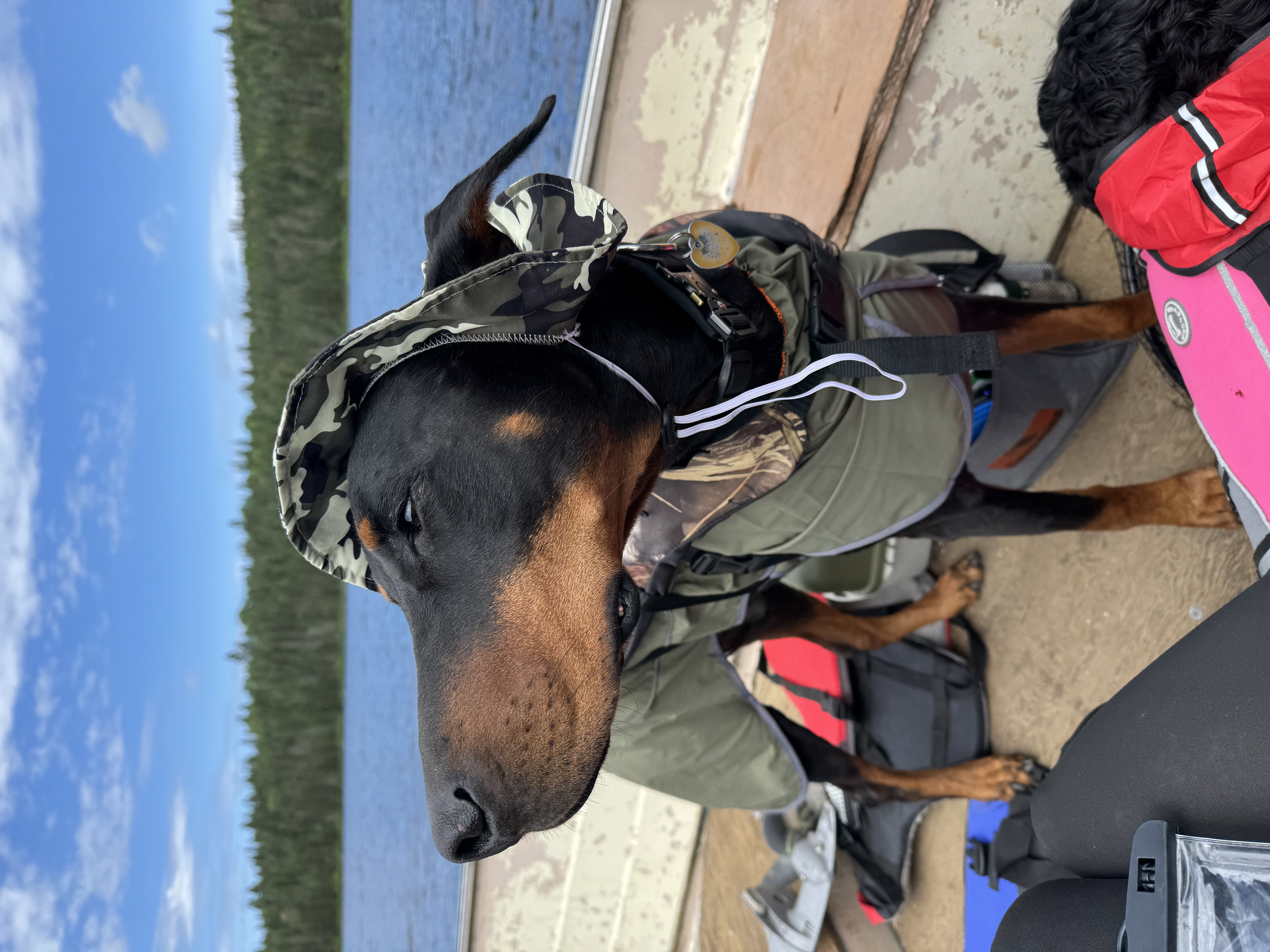 image-15