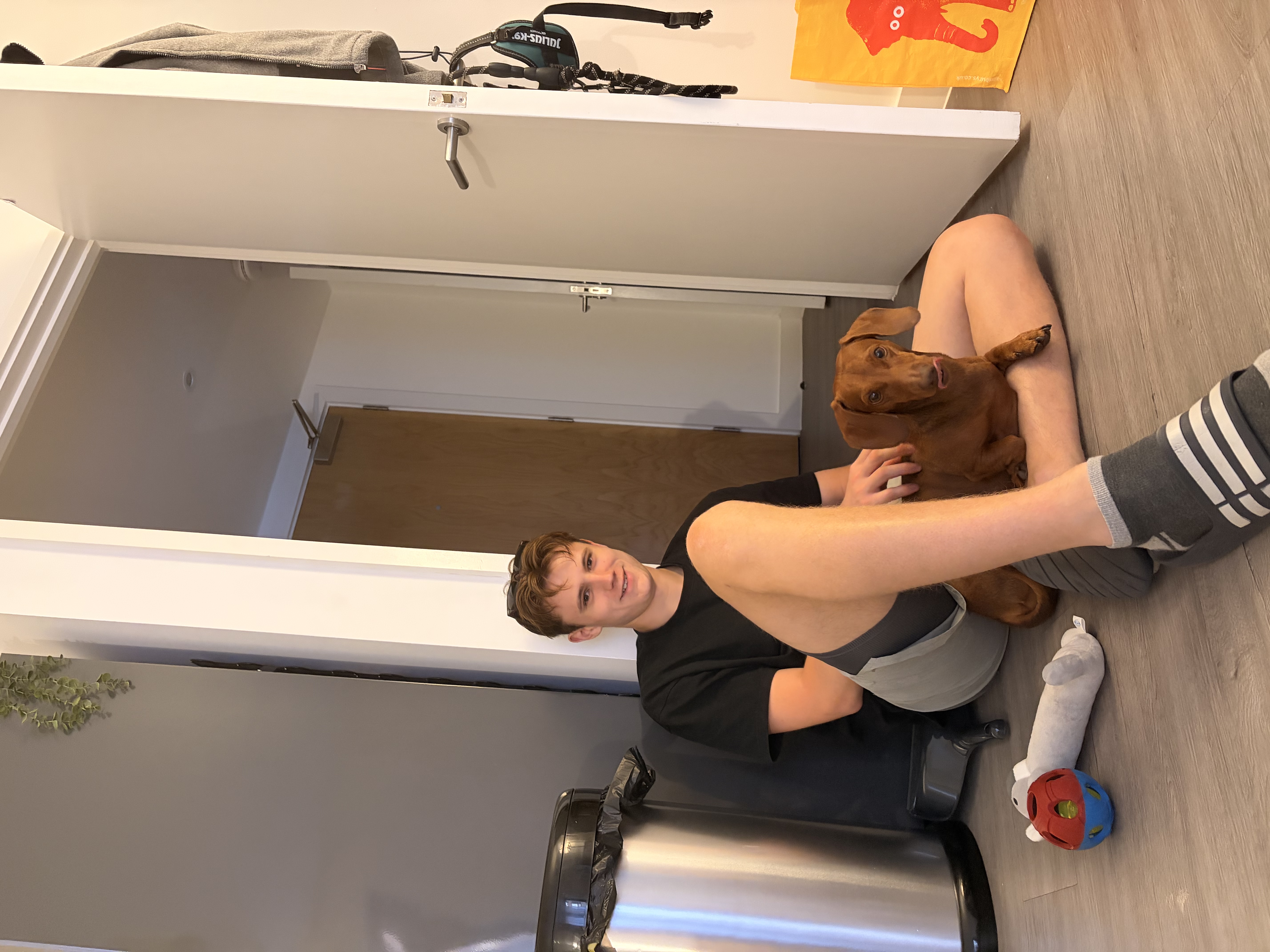 image-20