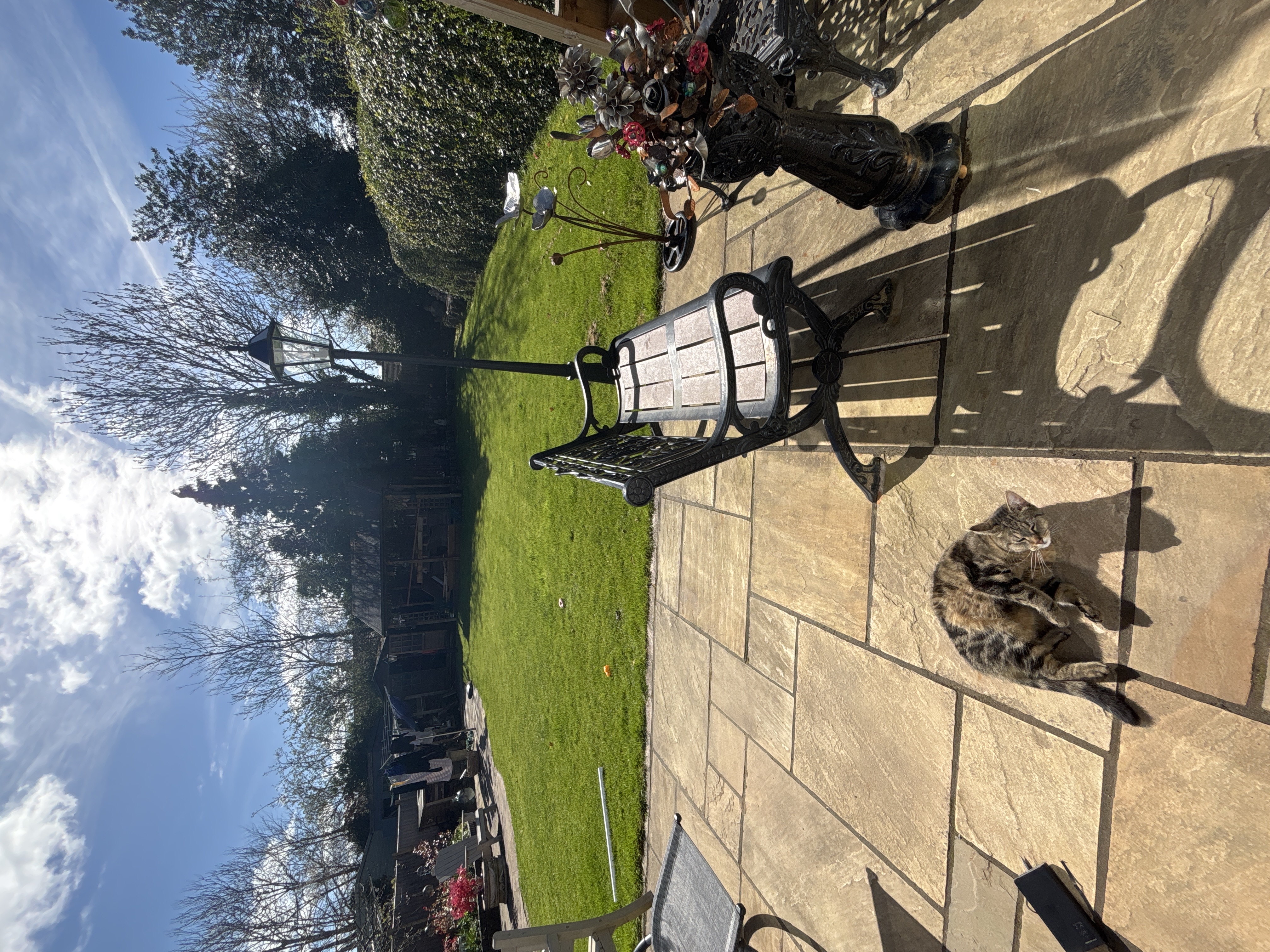 image-13