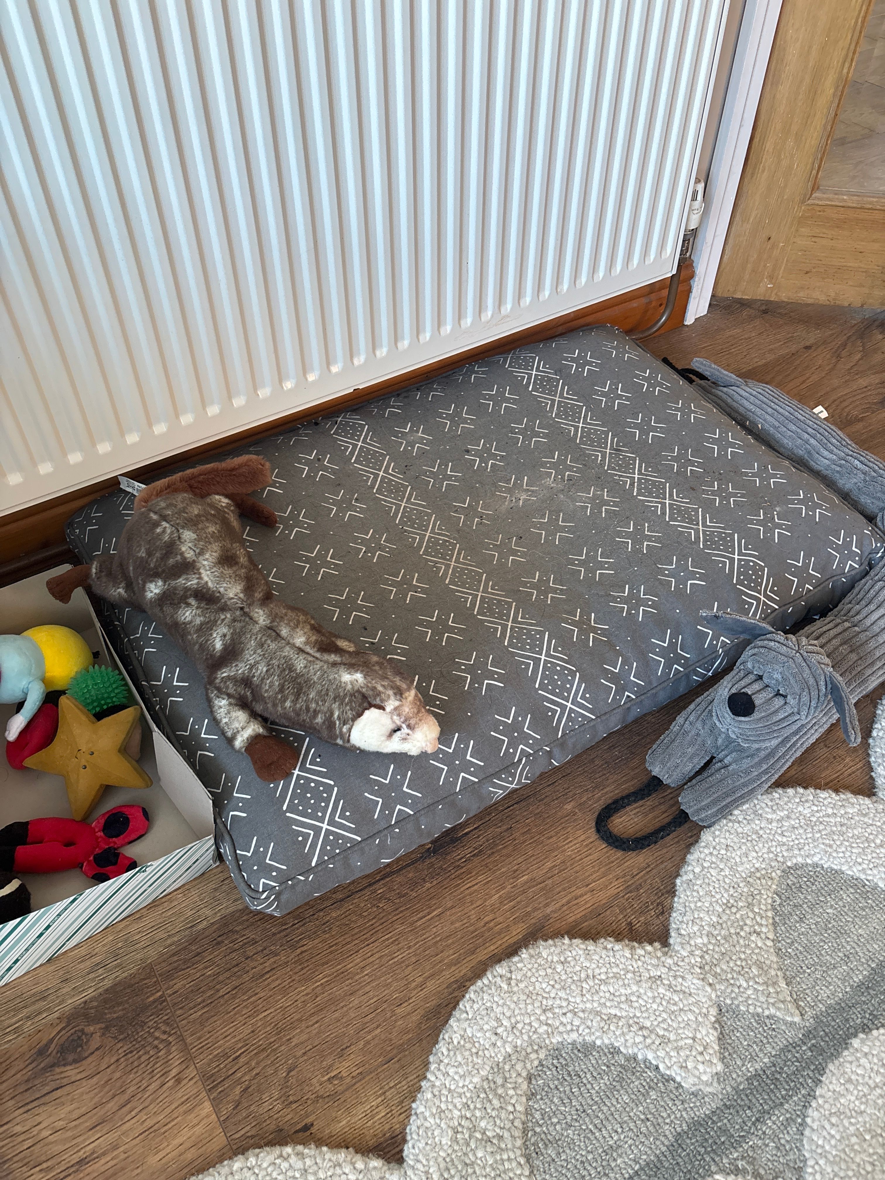 image-19