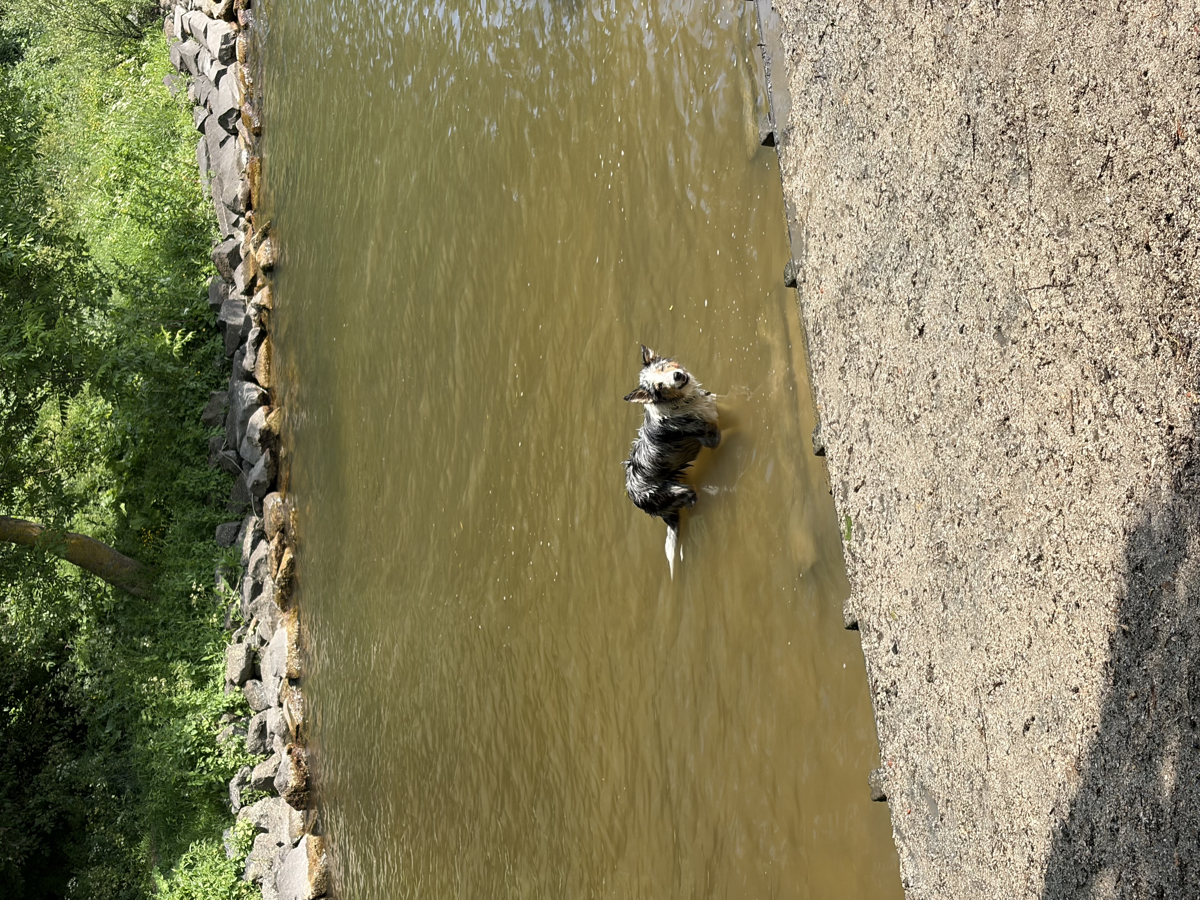 image-5