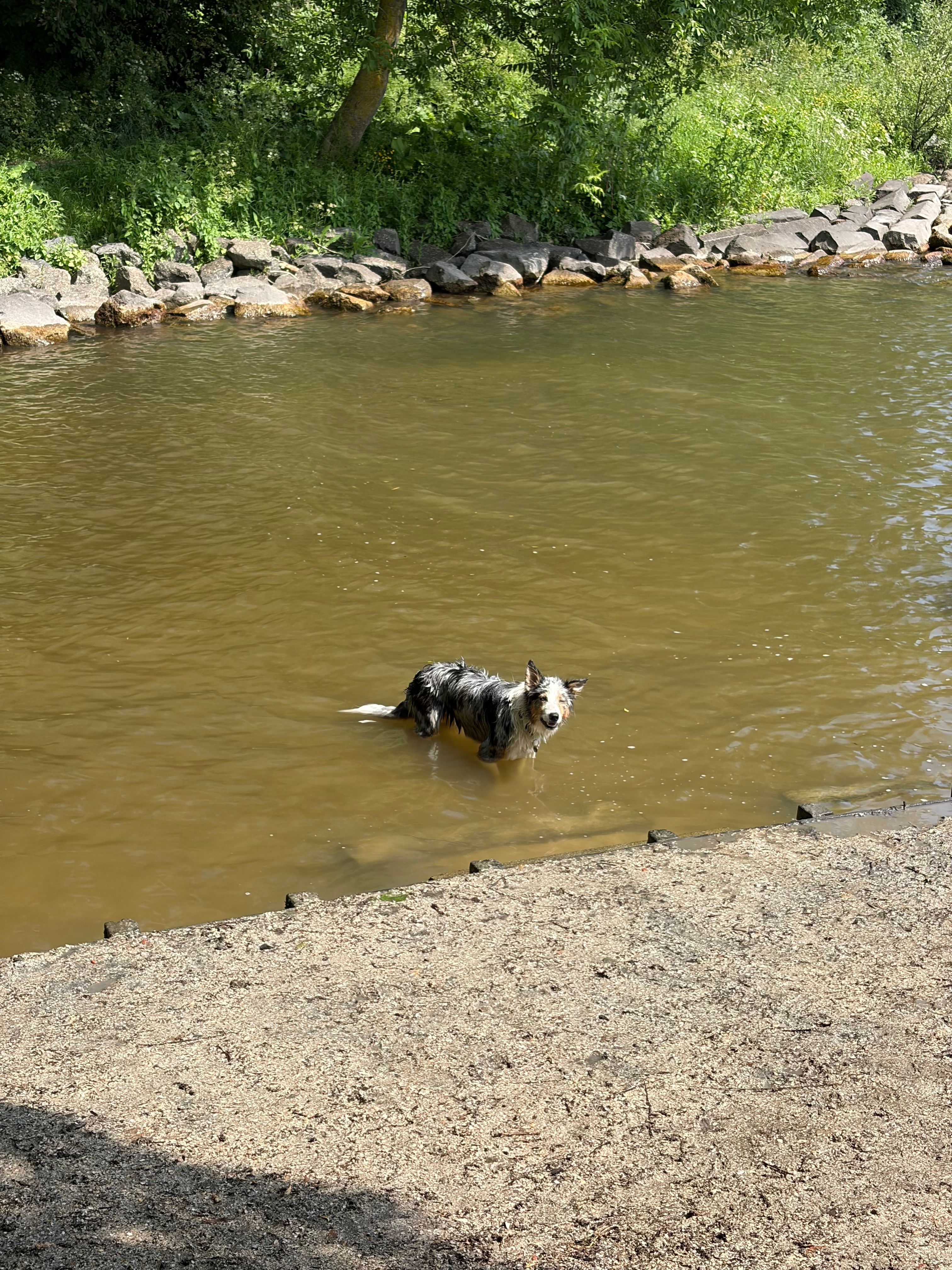 image-5