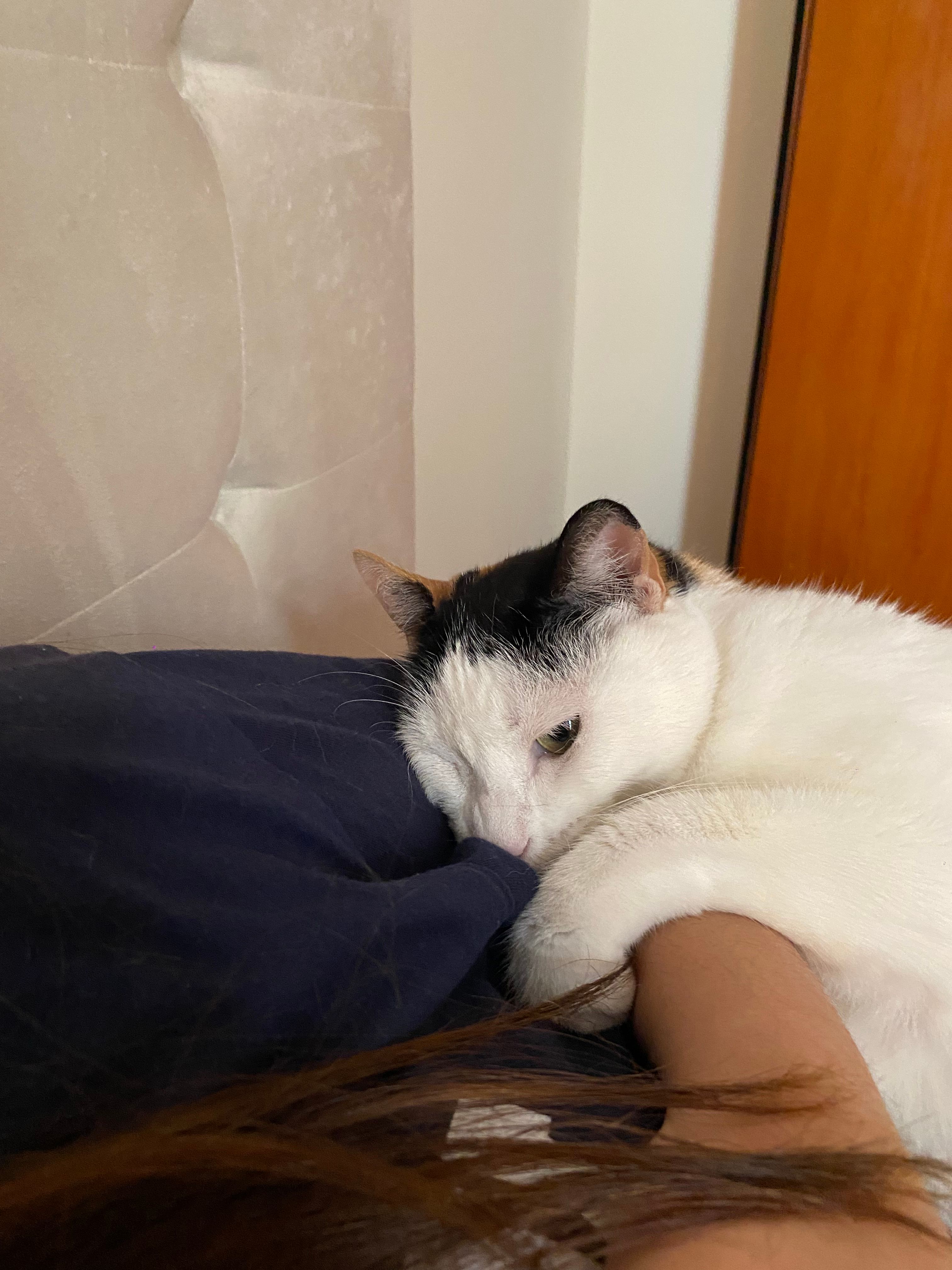image-6