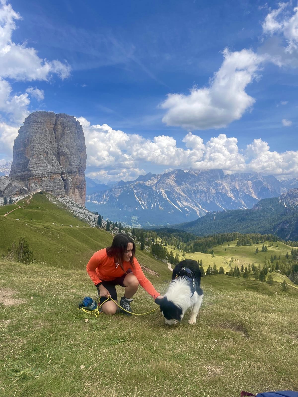 image-13
