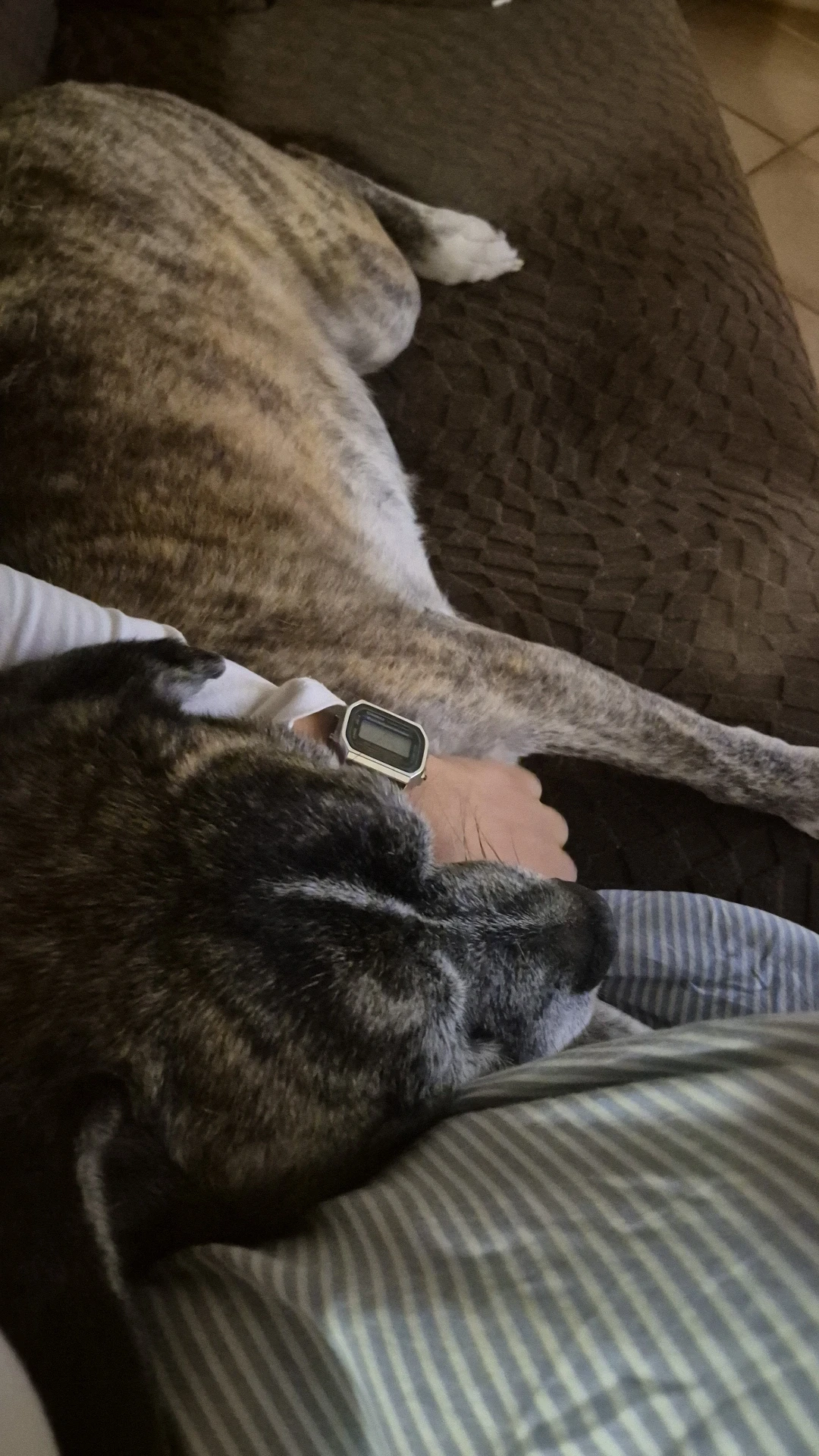 image-4