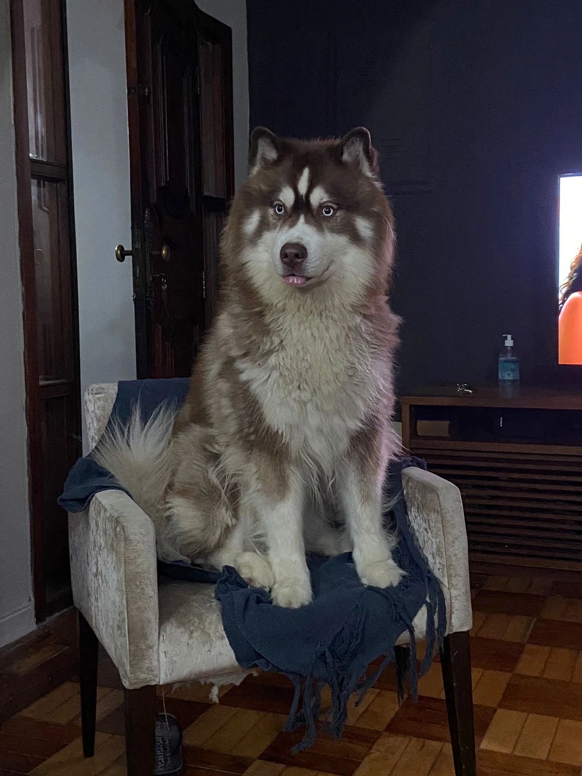 image-6