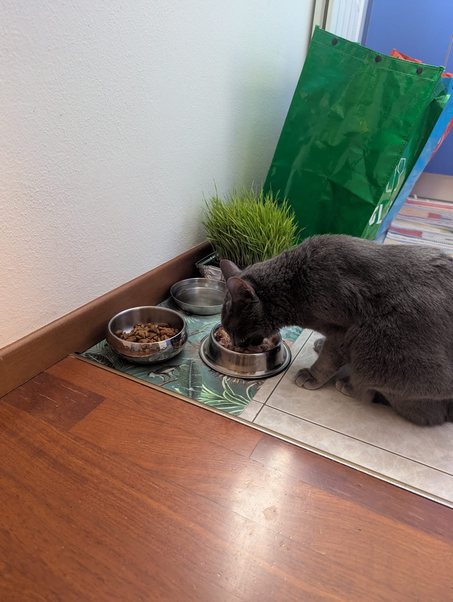 image-11