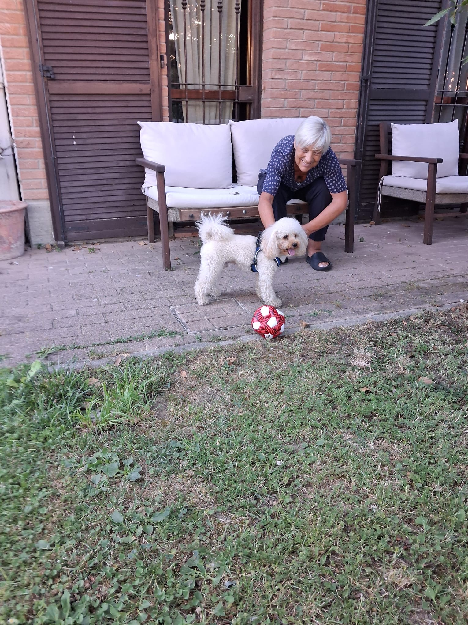 image-3