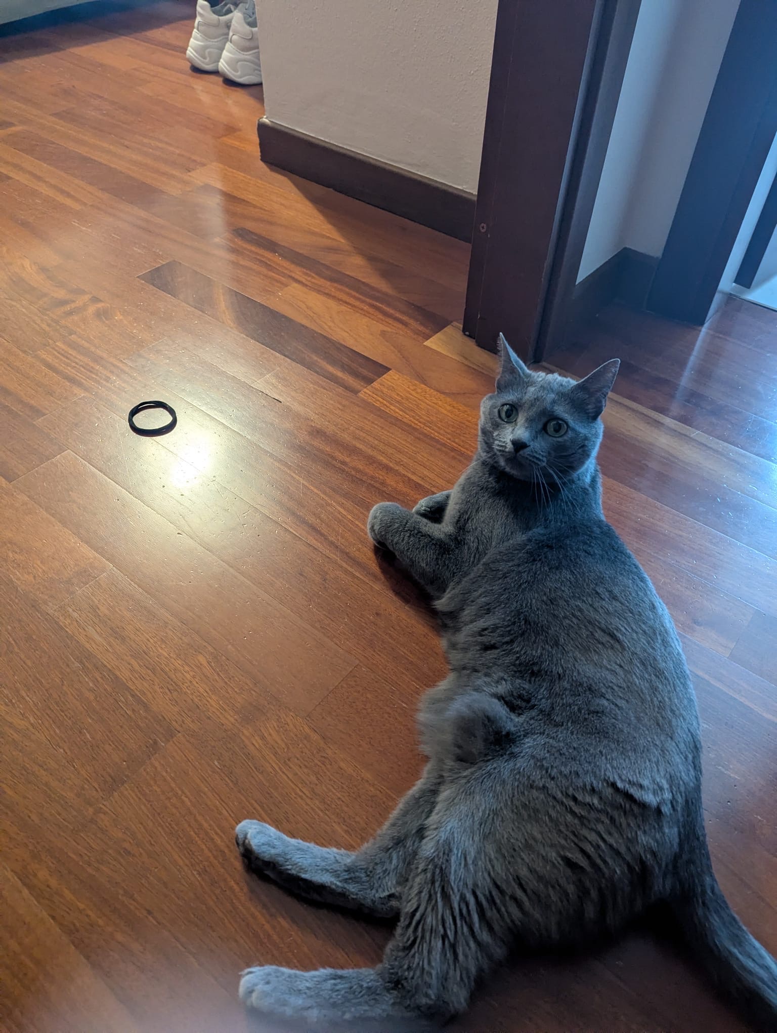 image-12