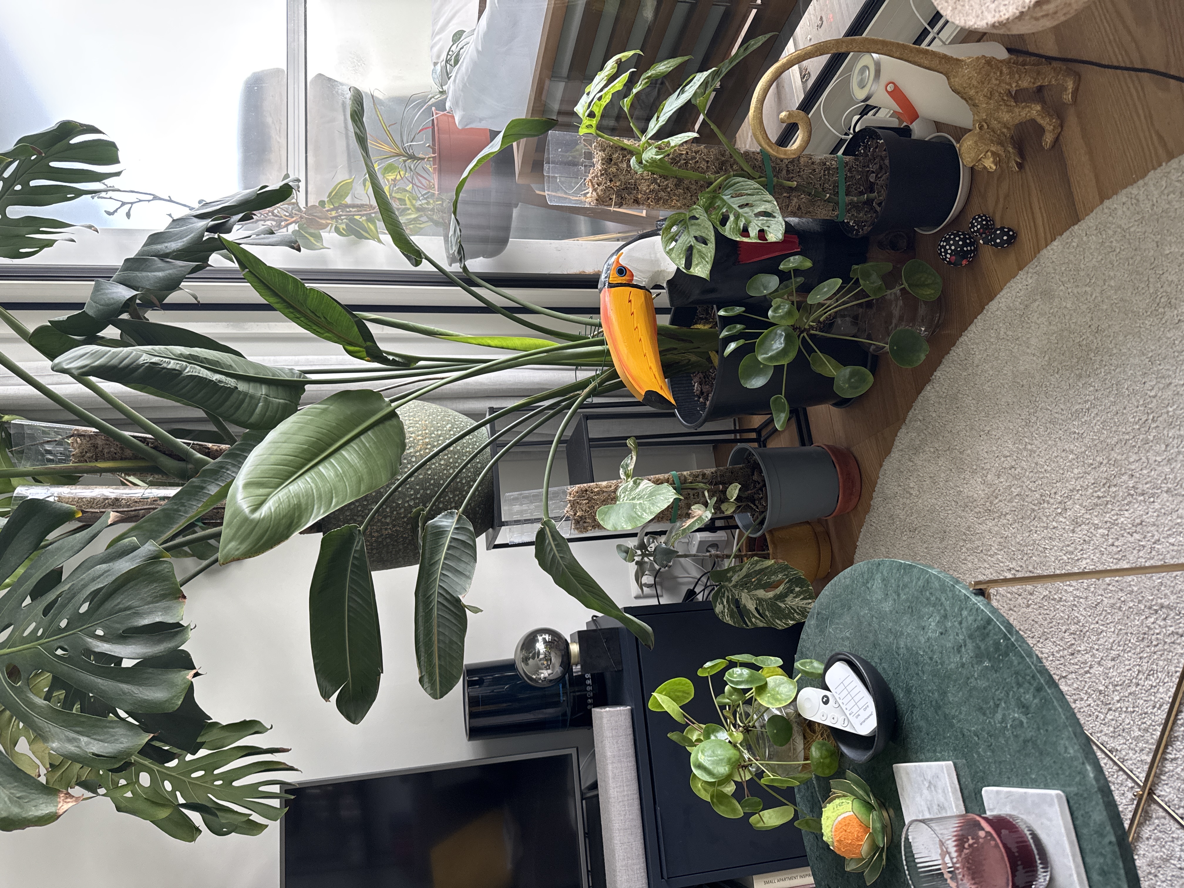 image-14