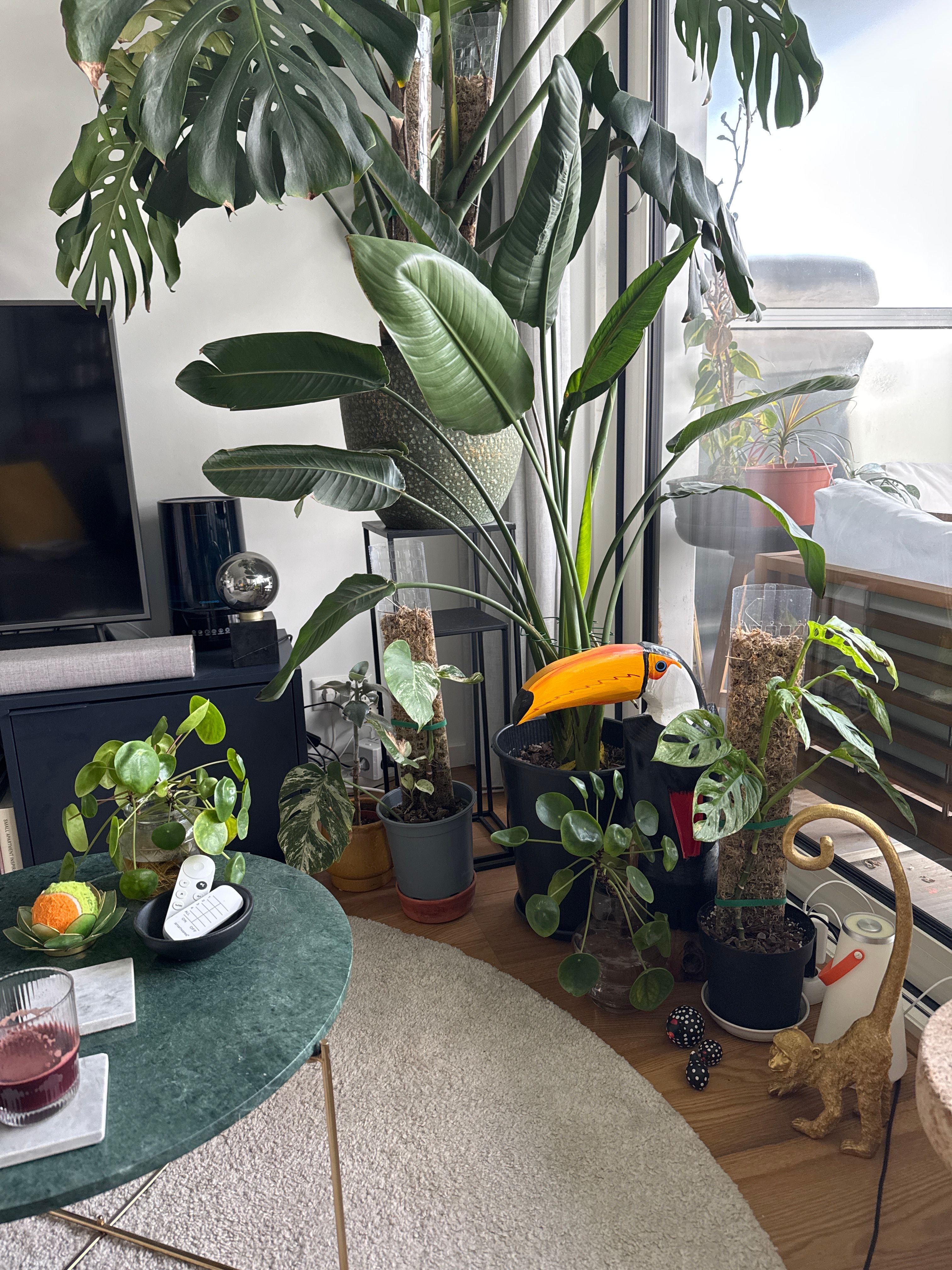 image-14