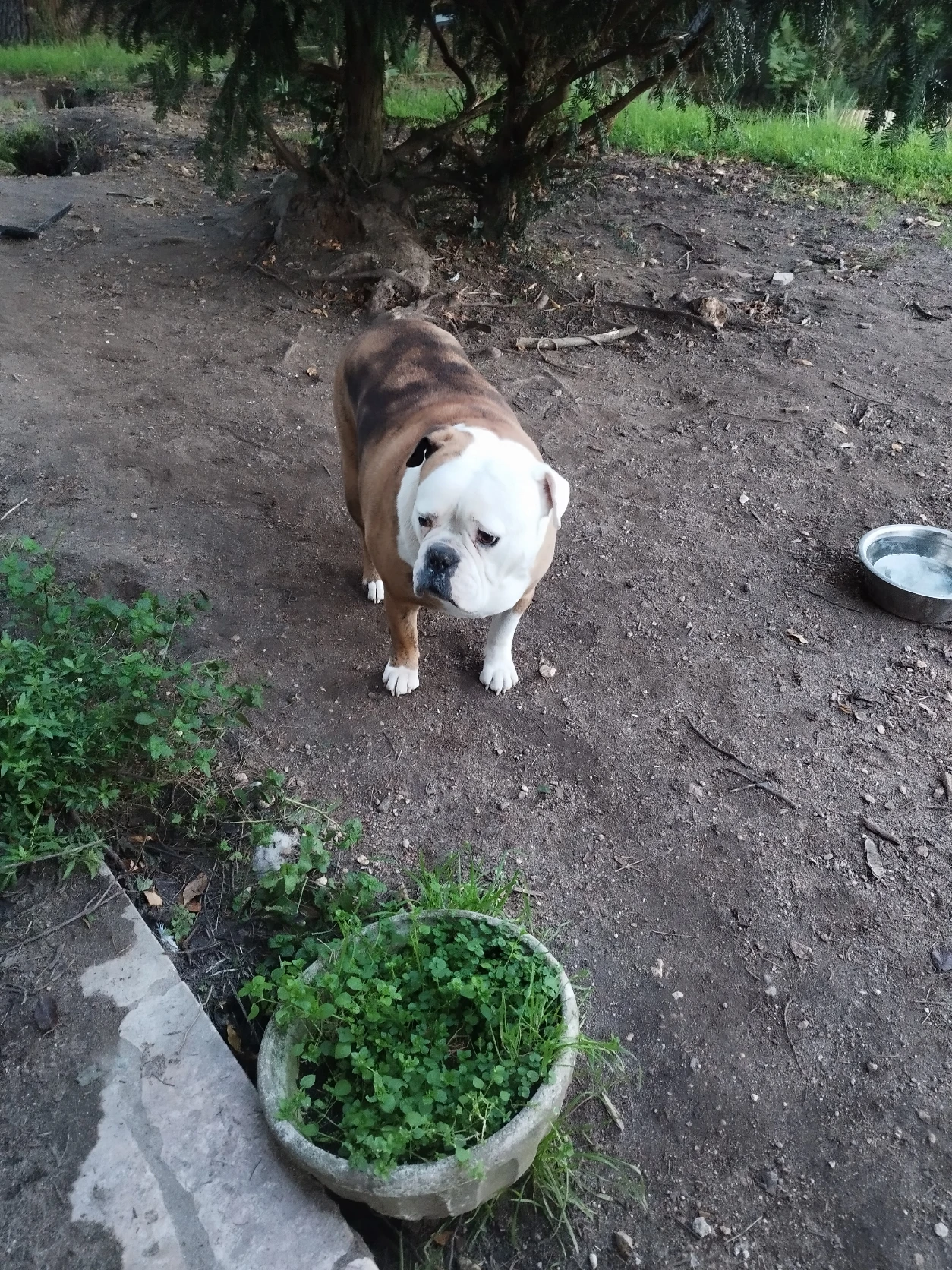 image-15