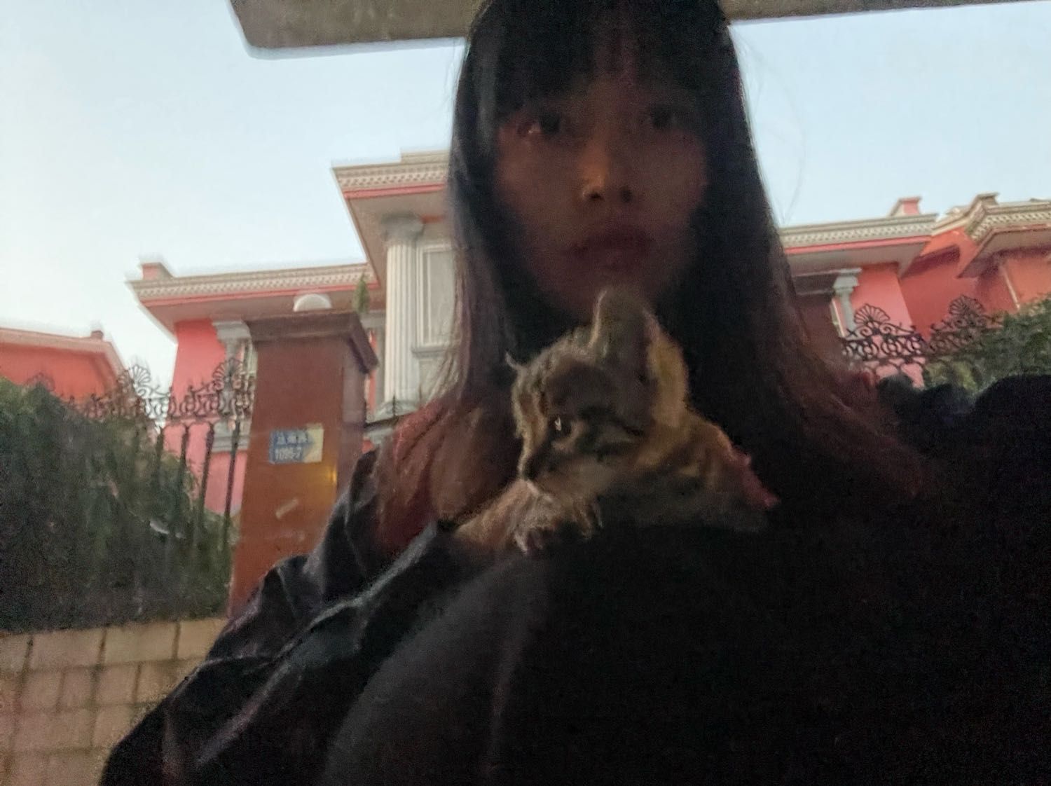 image-6