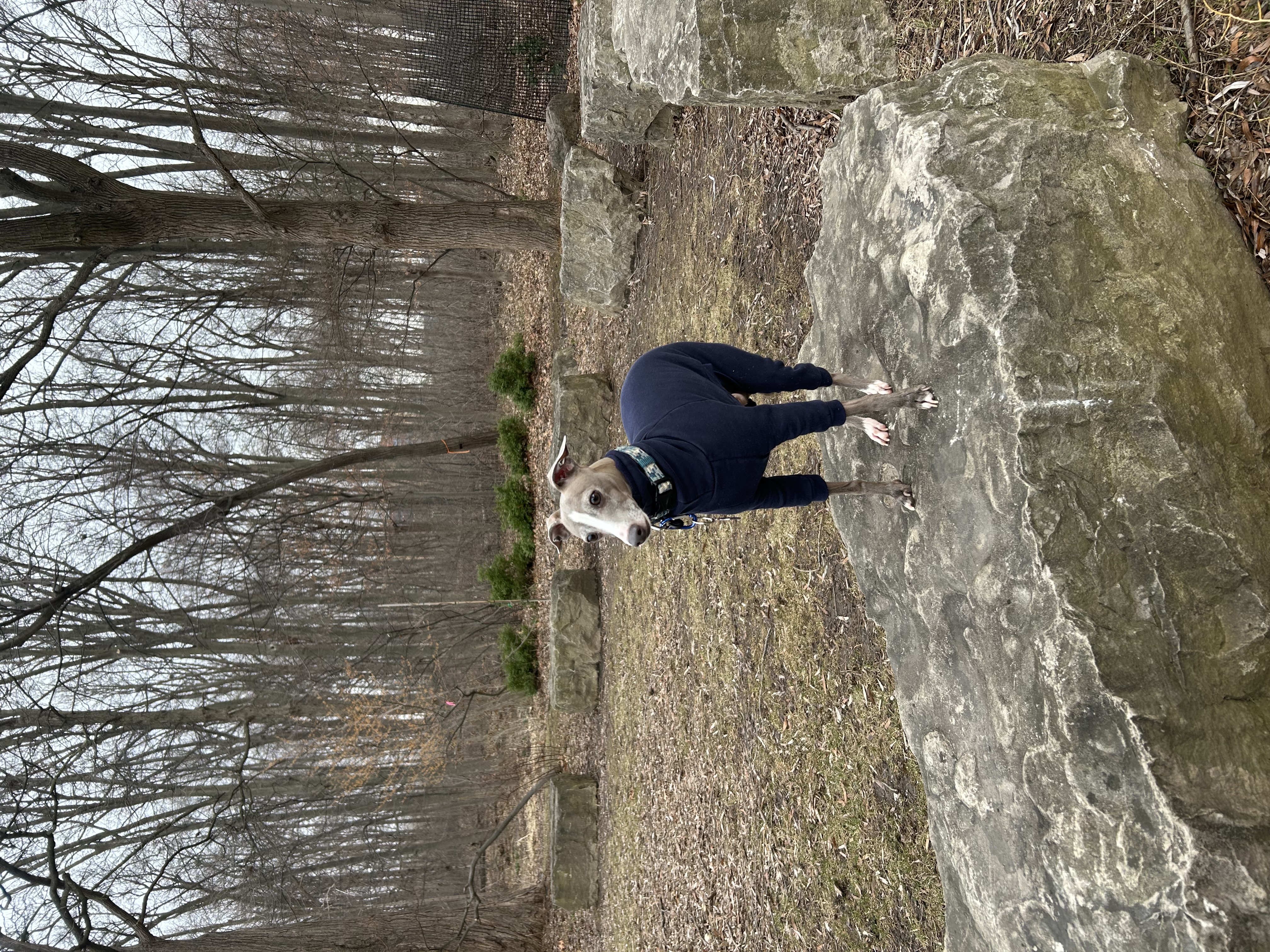 image-13