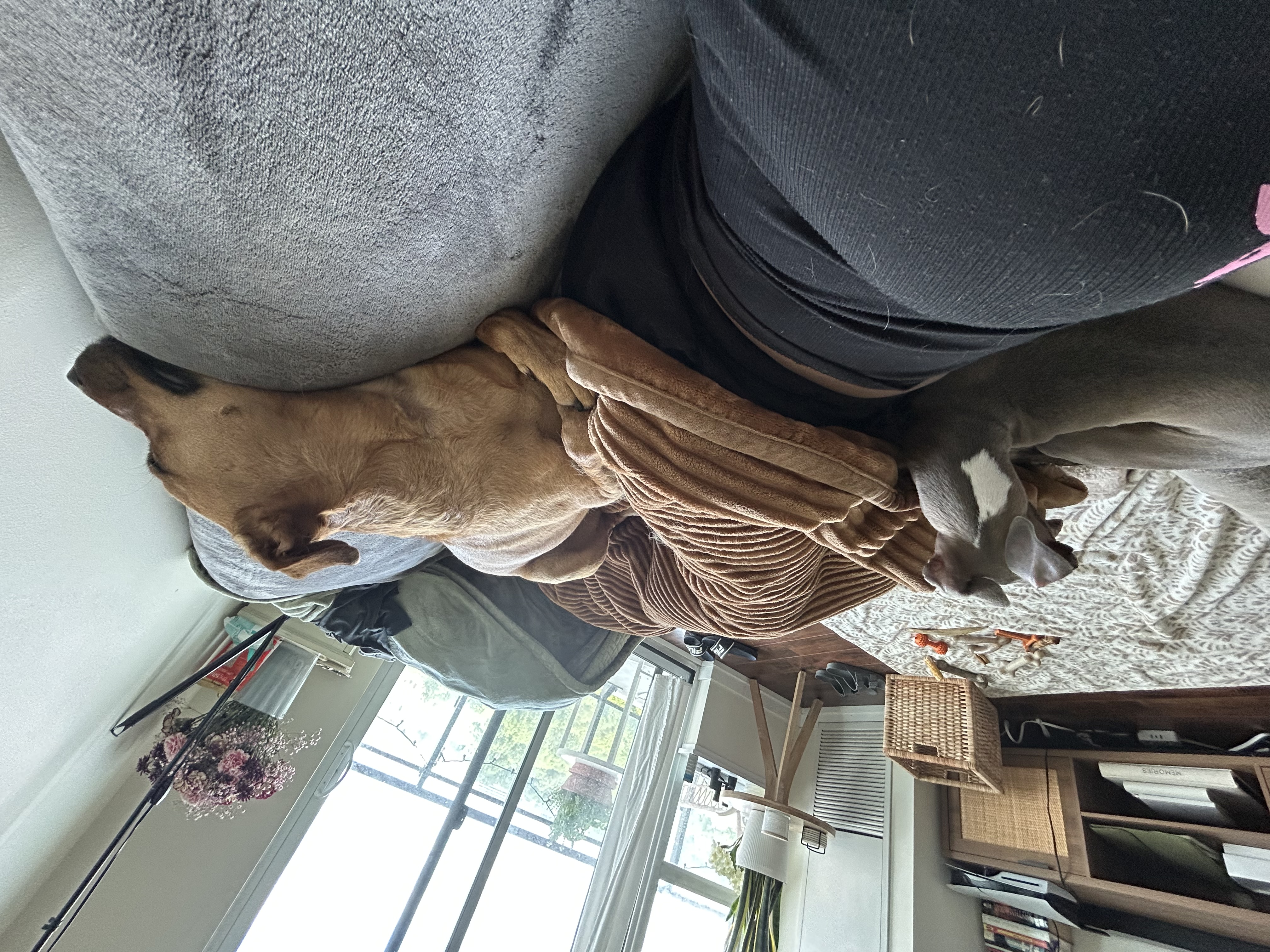 image-13