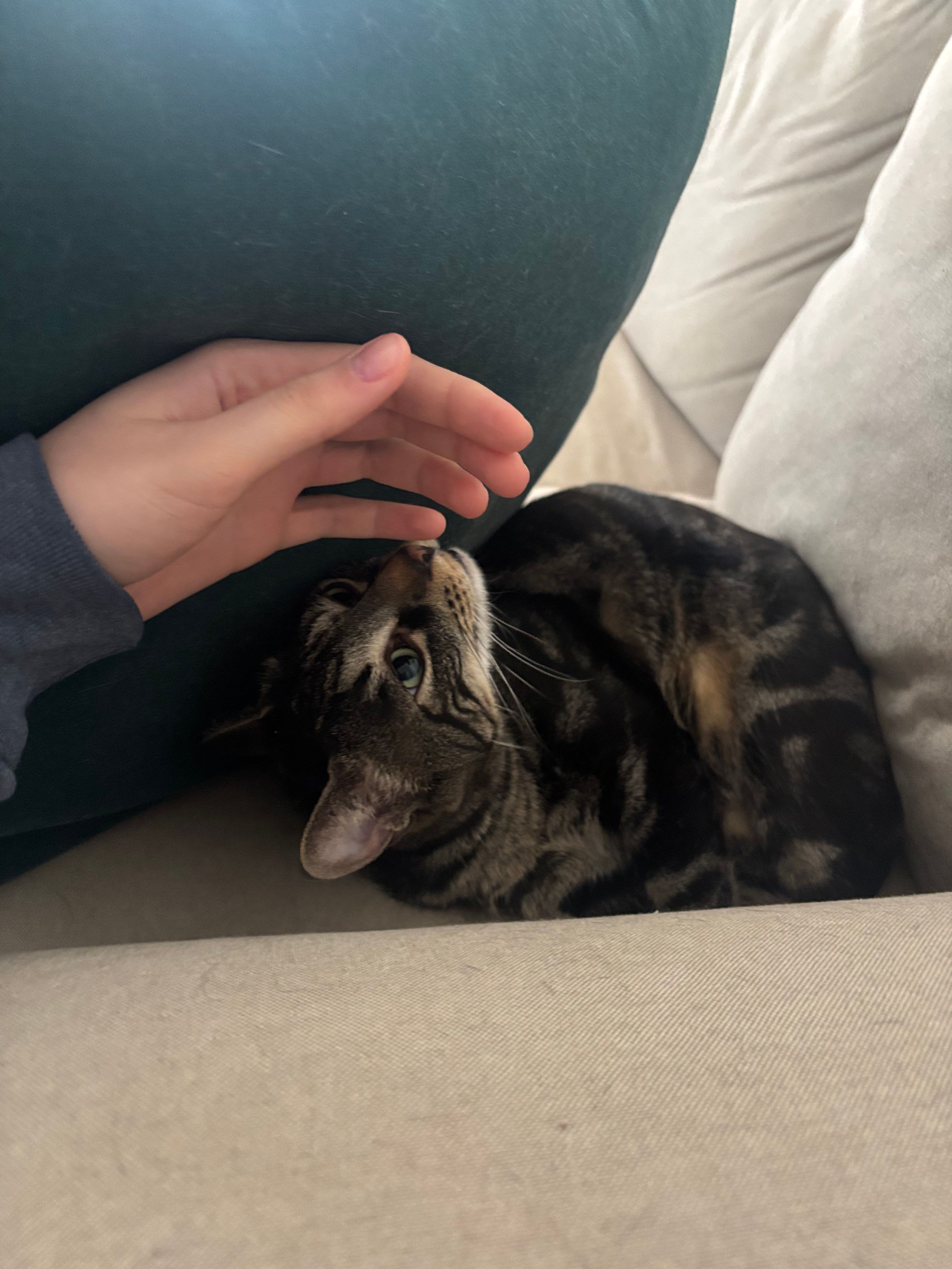 image-6