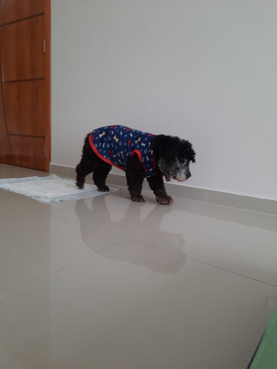 image-8