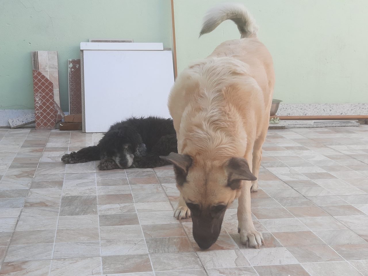 image-9