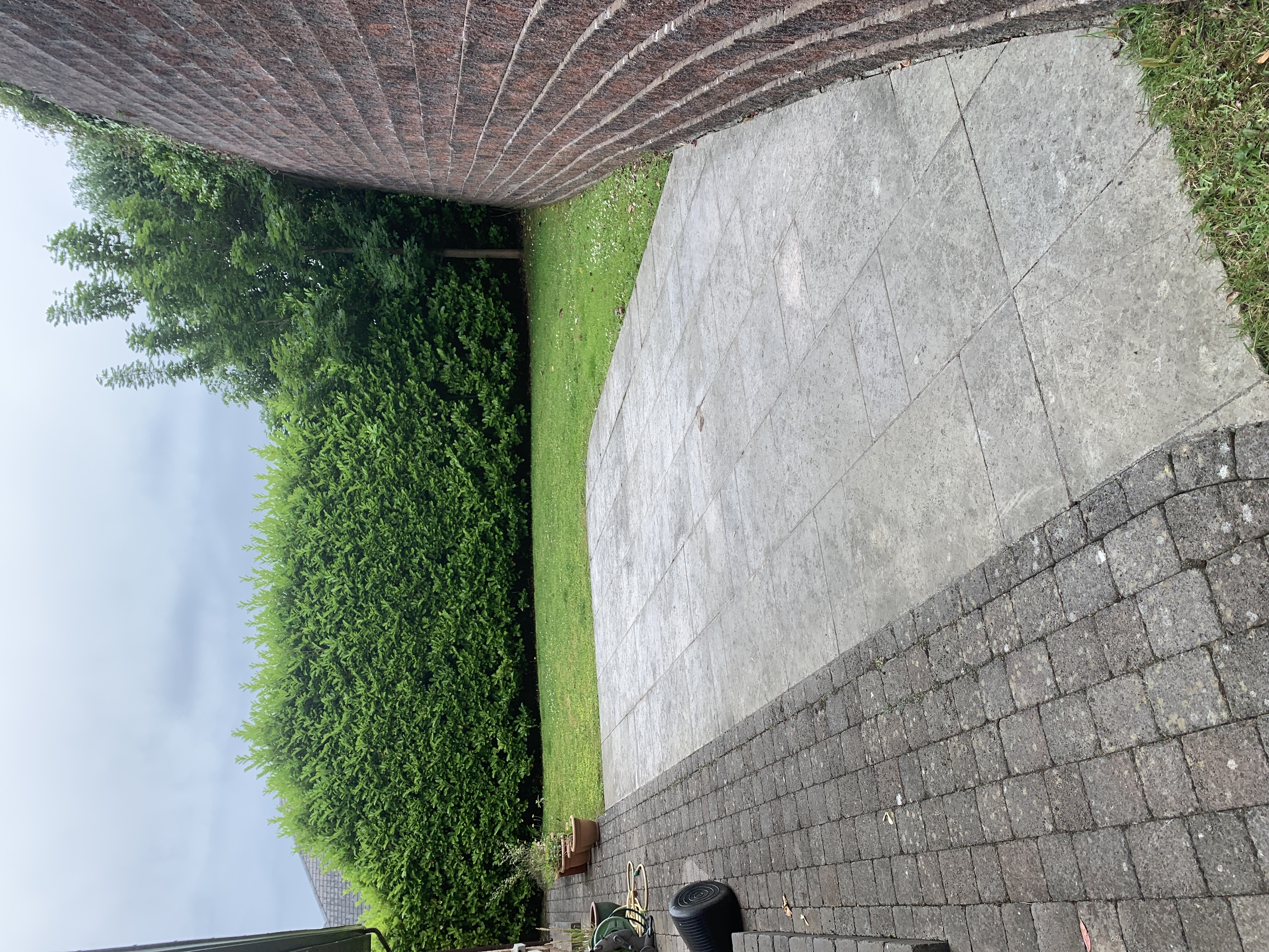 image-8