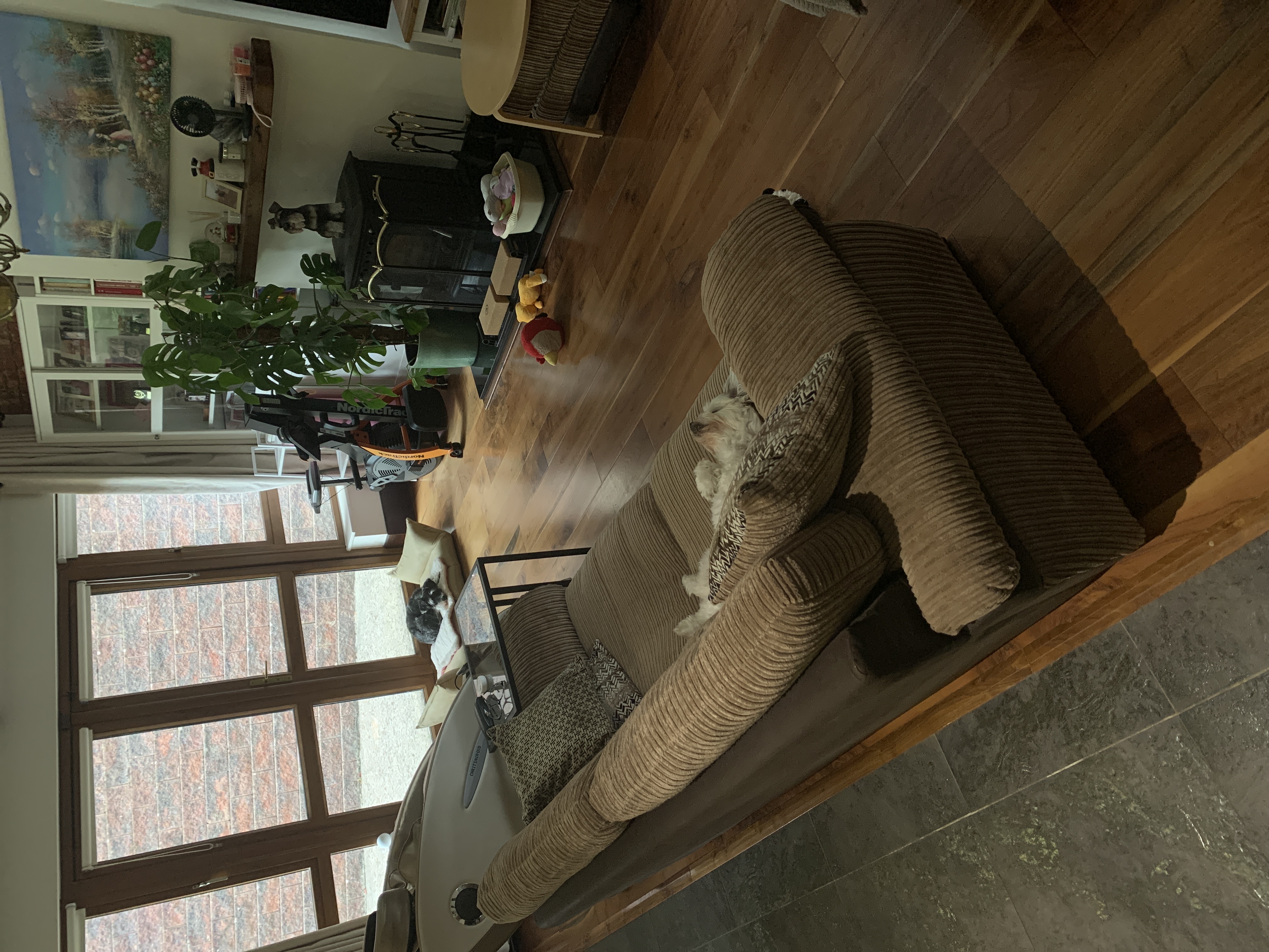 image-6