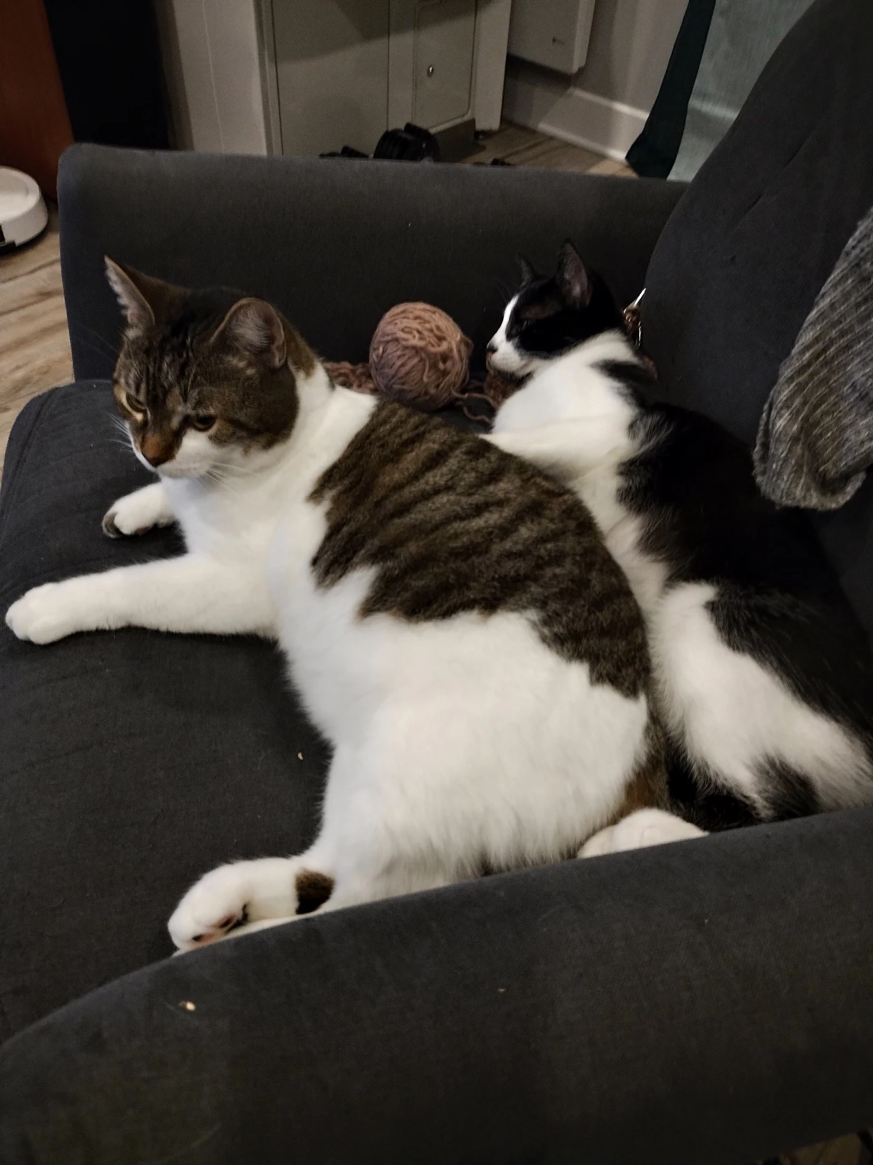 image-11